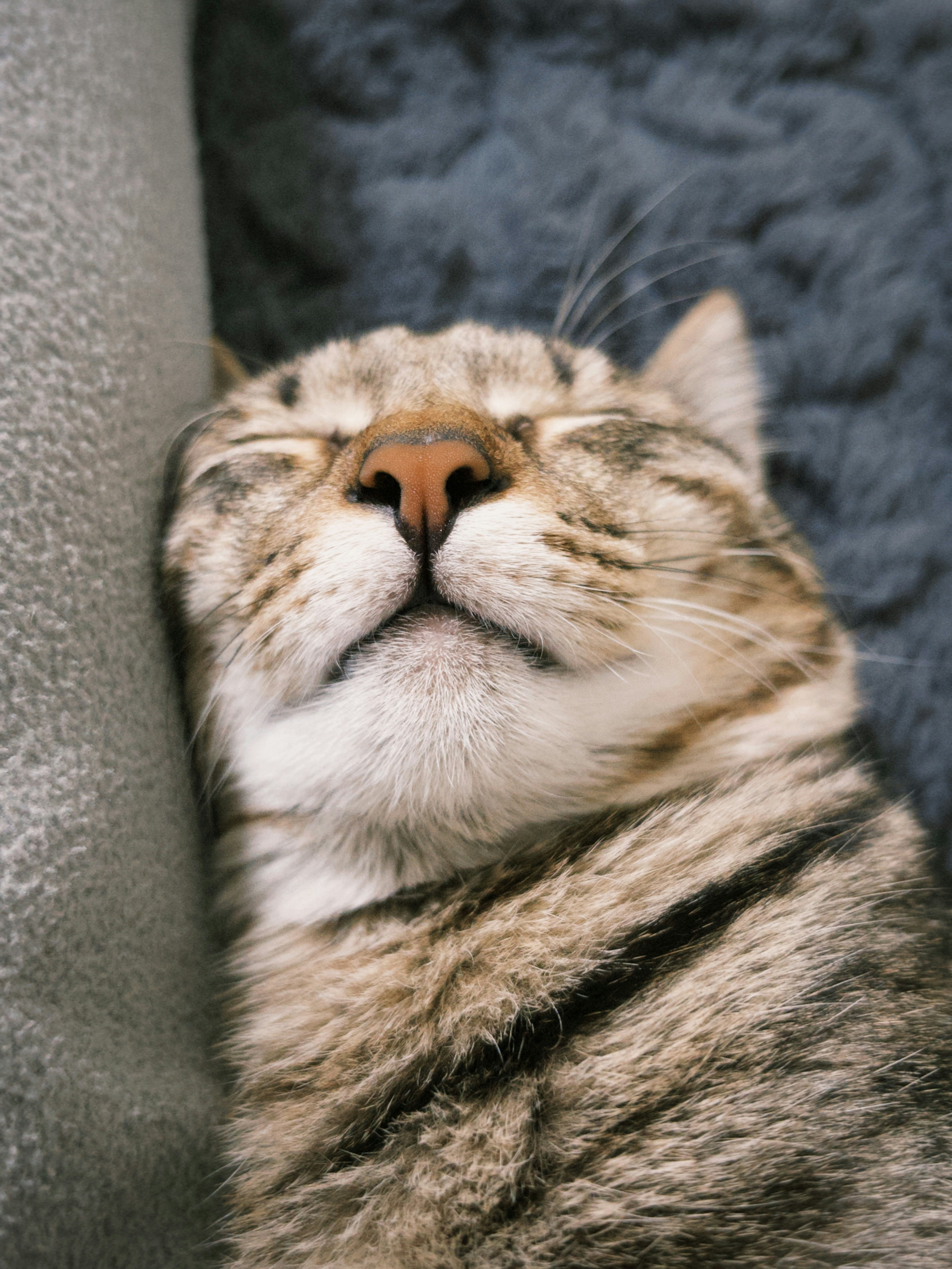 Photo by super_tseng_2k