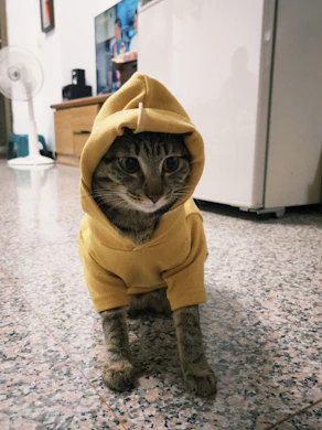 A cat wearing a yellow hooded sweatshirt.