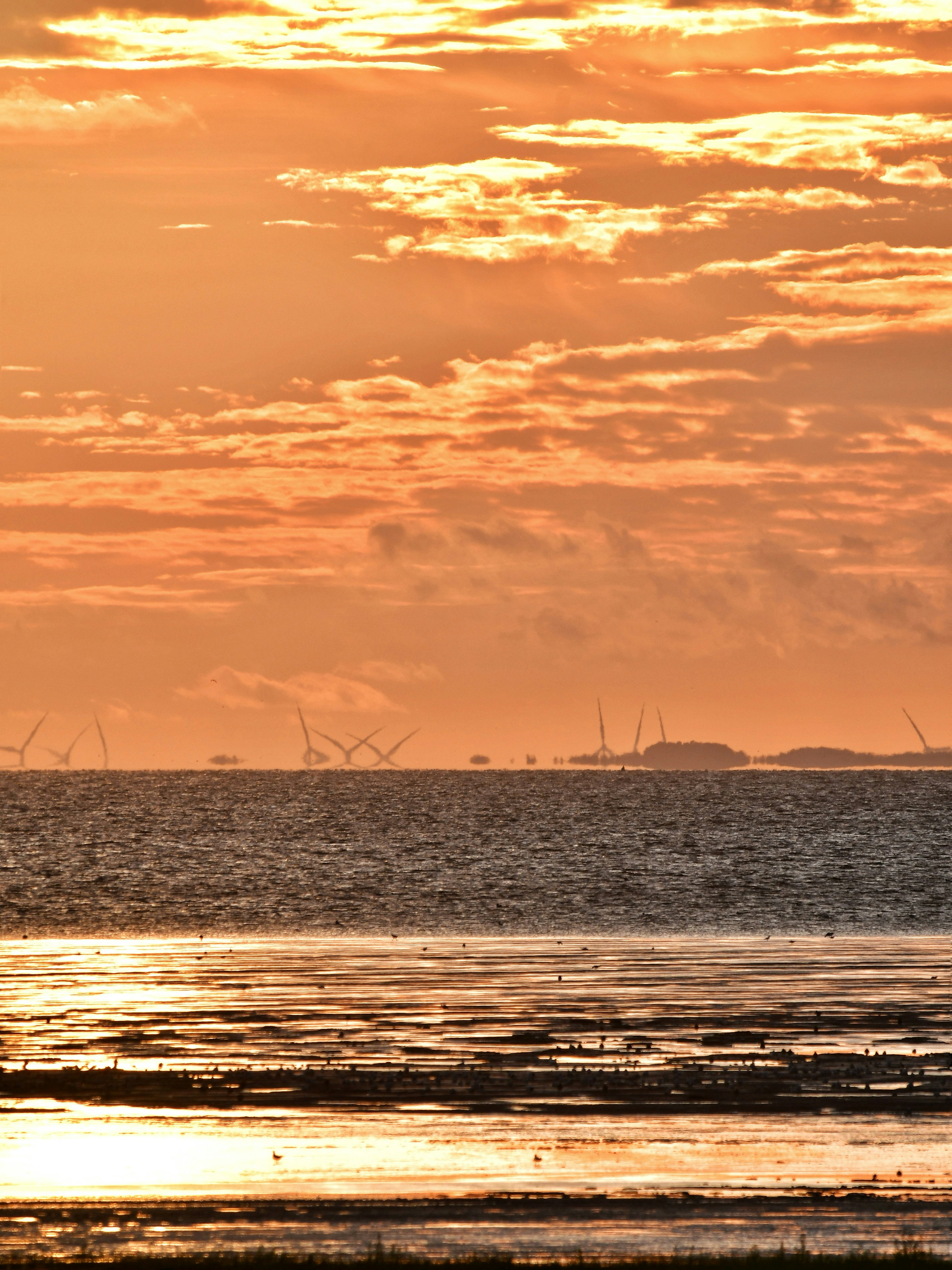 Photo by pedrino5_official