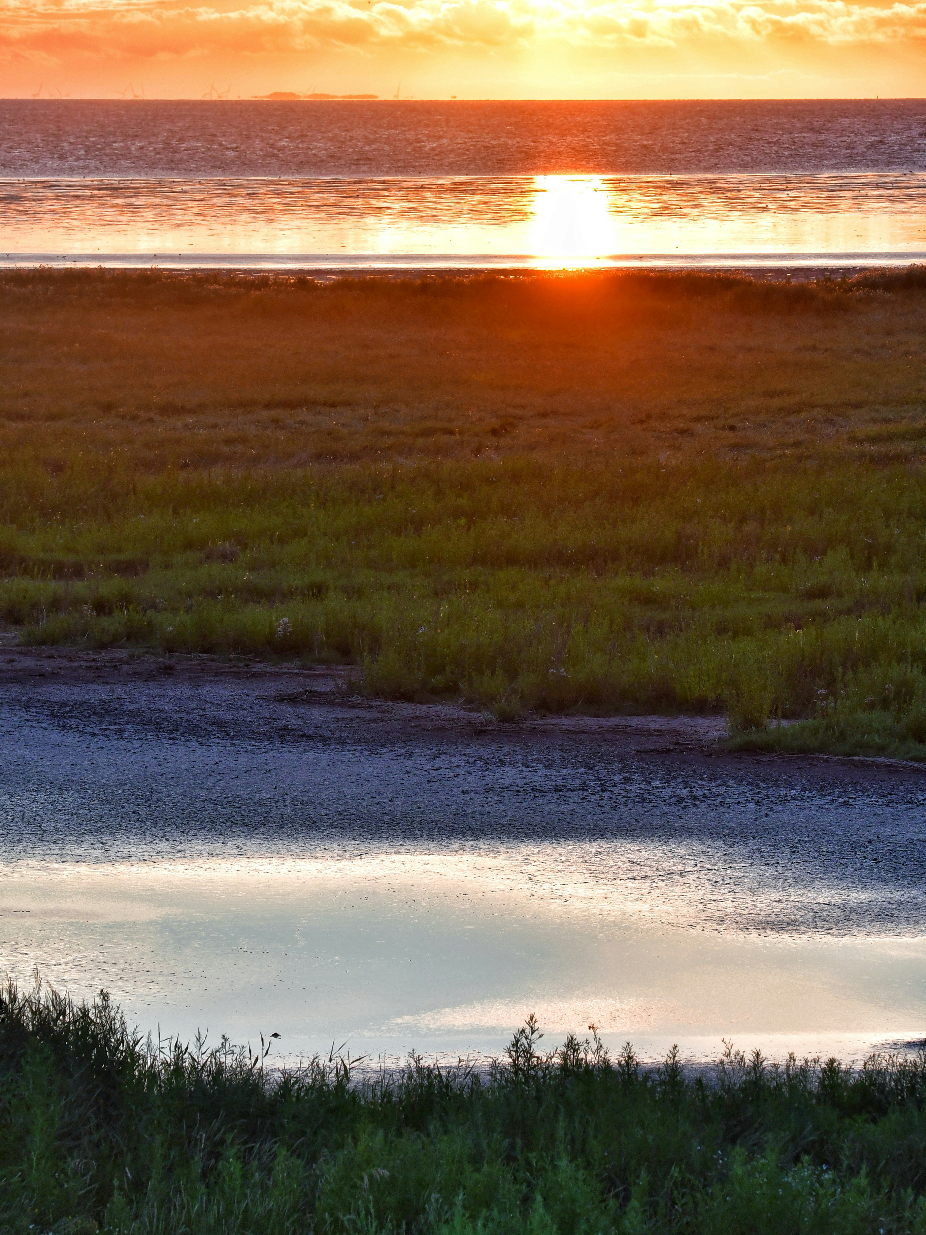 Photo by pedrino5_official