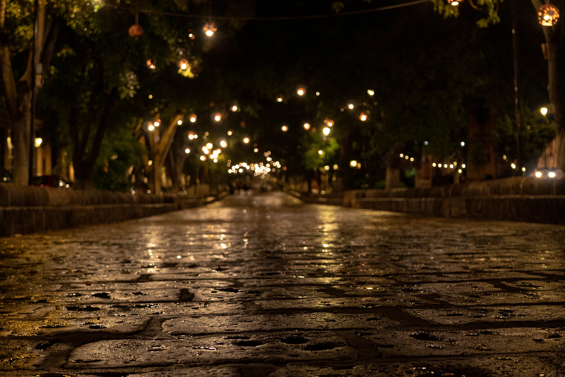 Wet cobblestone street lit up at night.