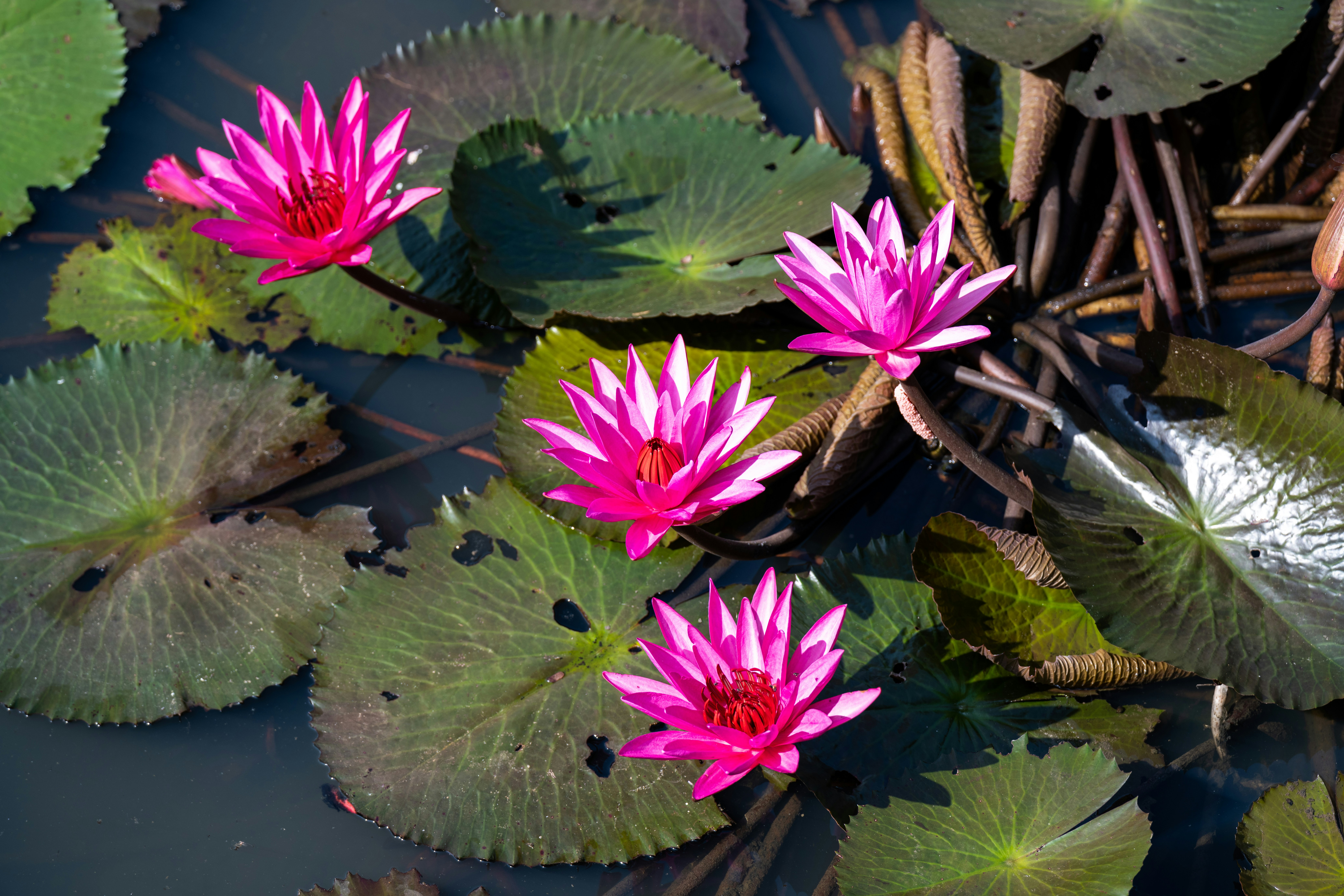 Photo by krzysztof_h