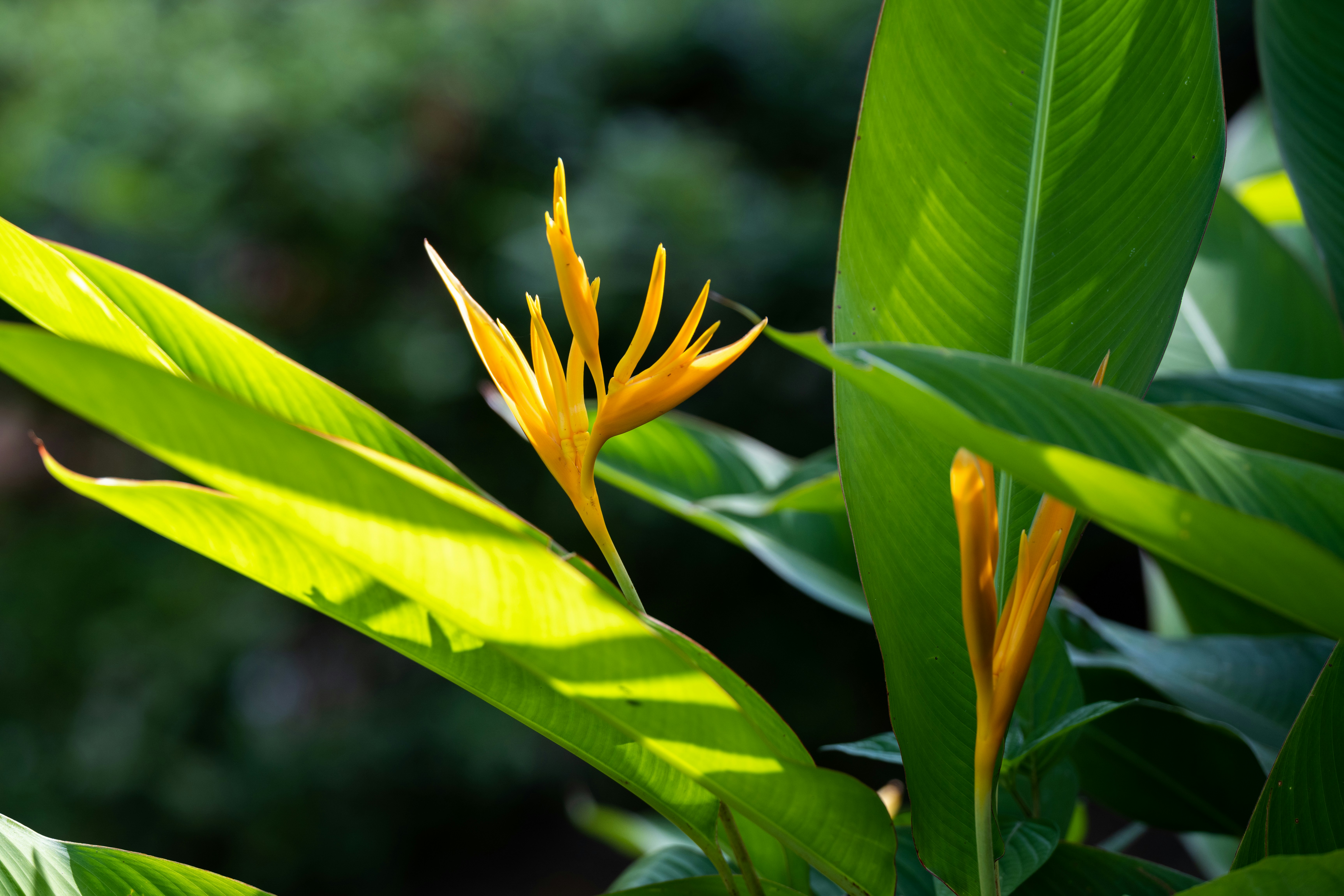 Photo by krzysztof_h