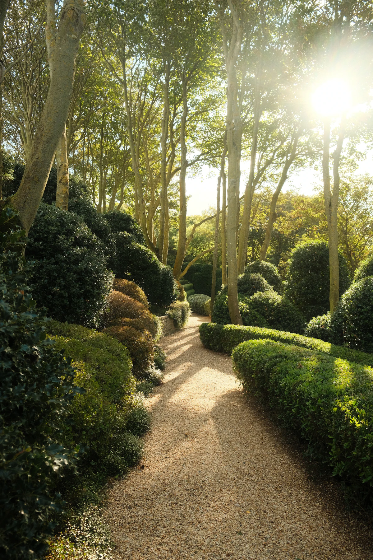 Landscaped garden with established planting and a garden path