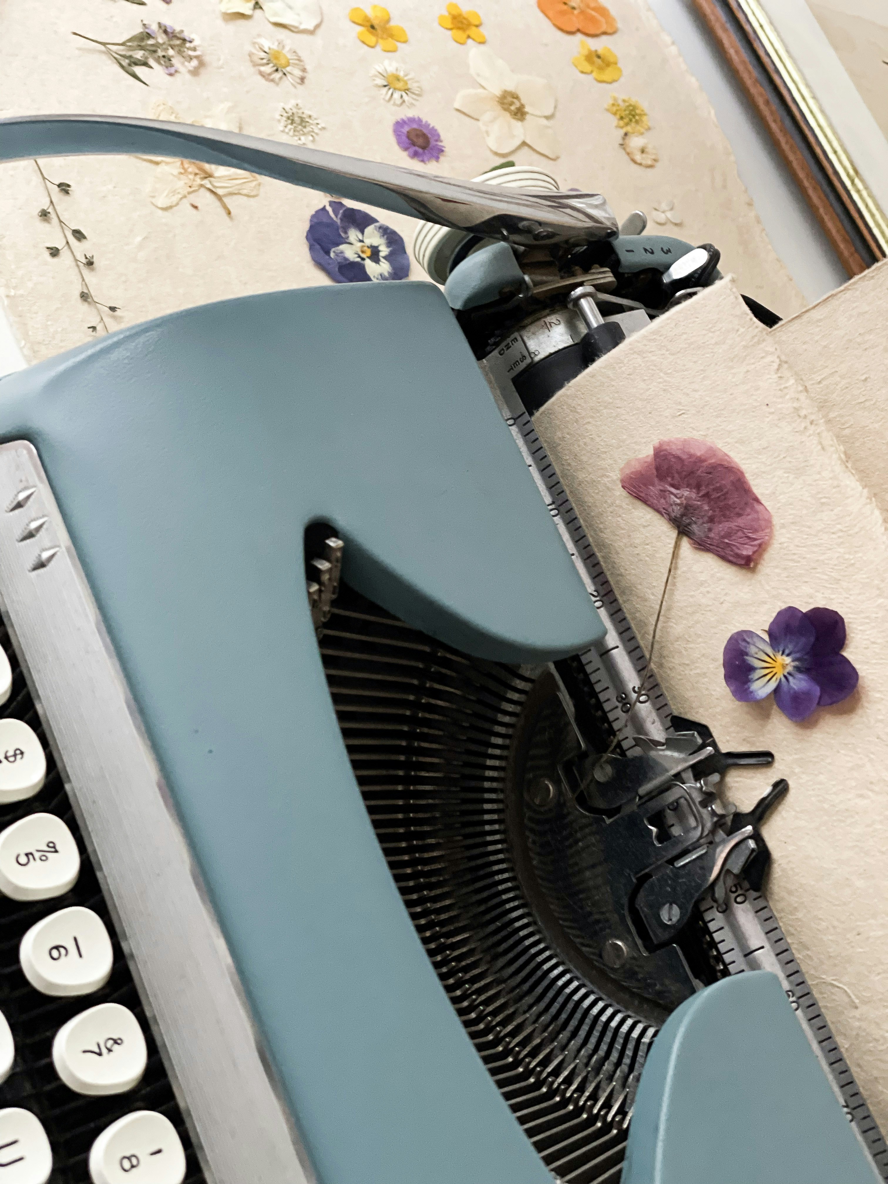 Typewriter and pressed flowers on paper.