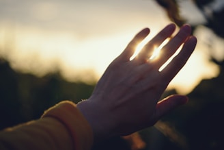 Hand shields the sun in a blurred sunset.