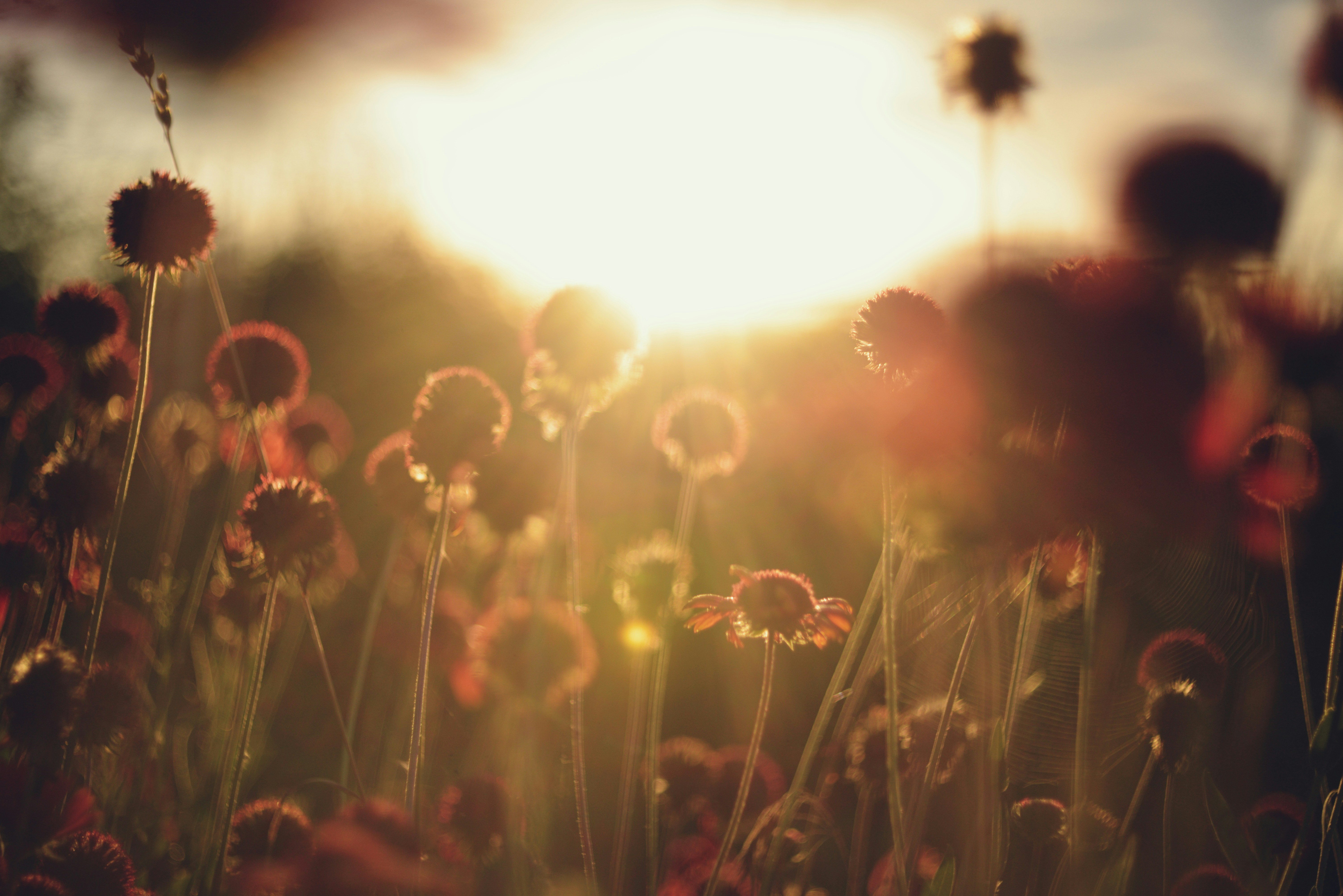 Photo by cherstve_pechivo