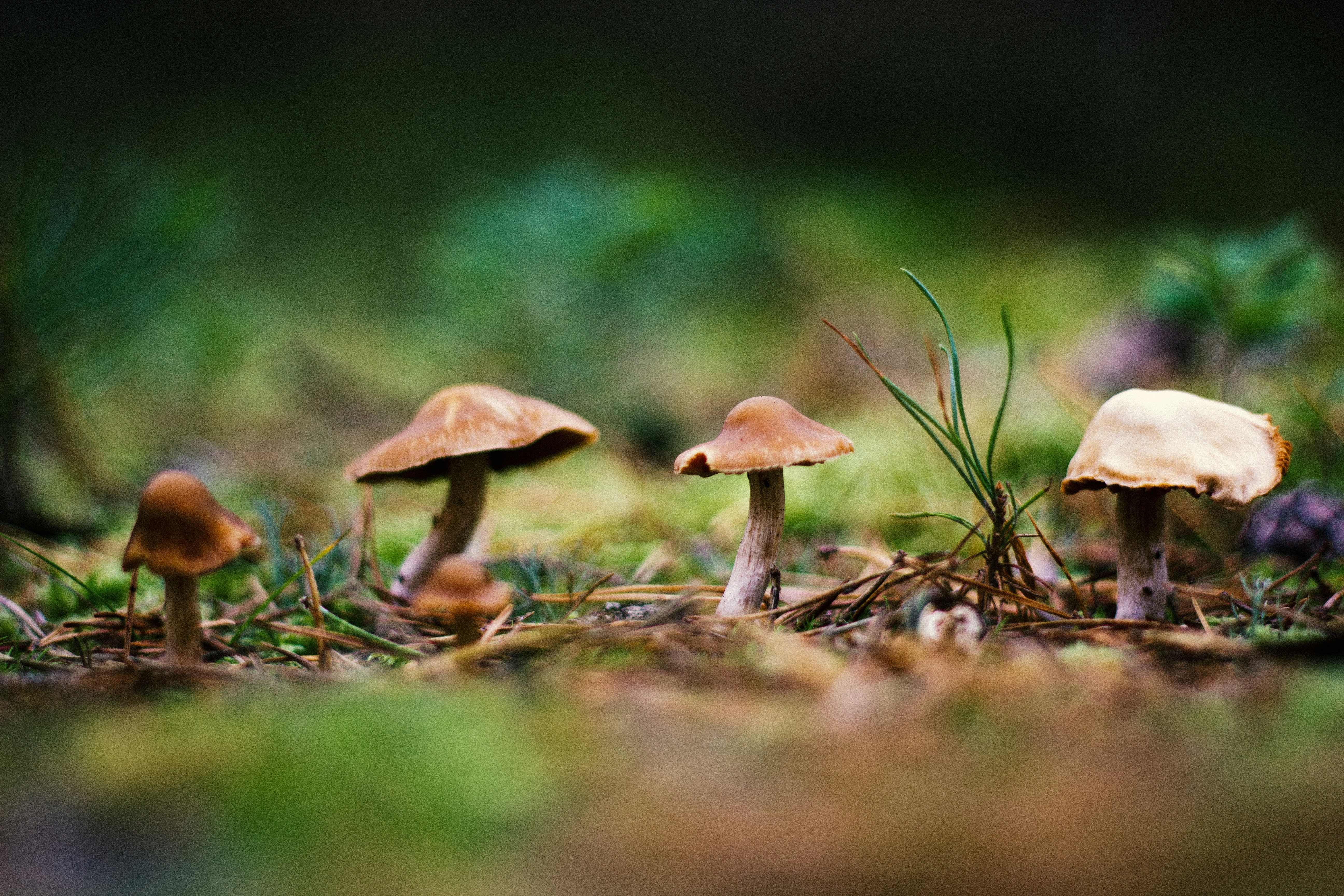 Photo by reinisbruzitis