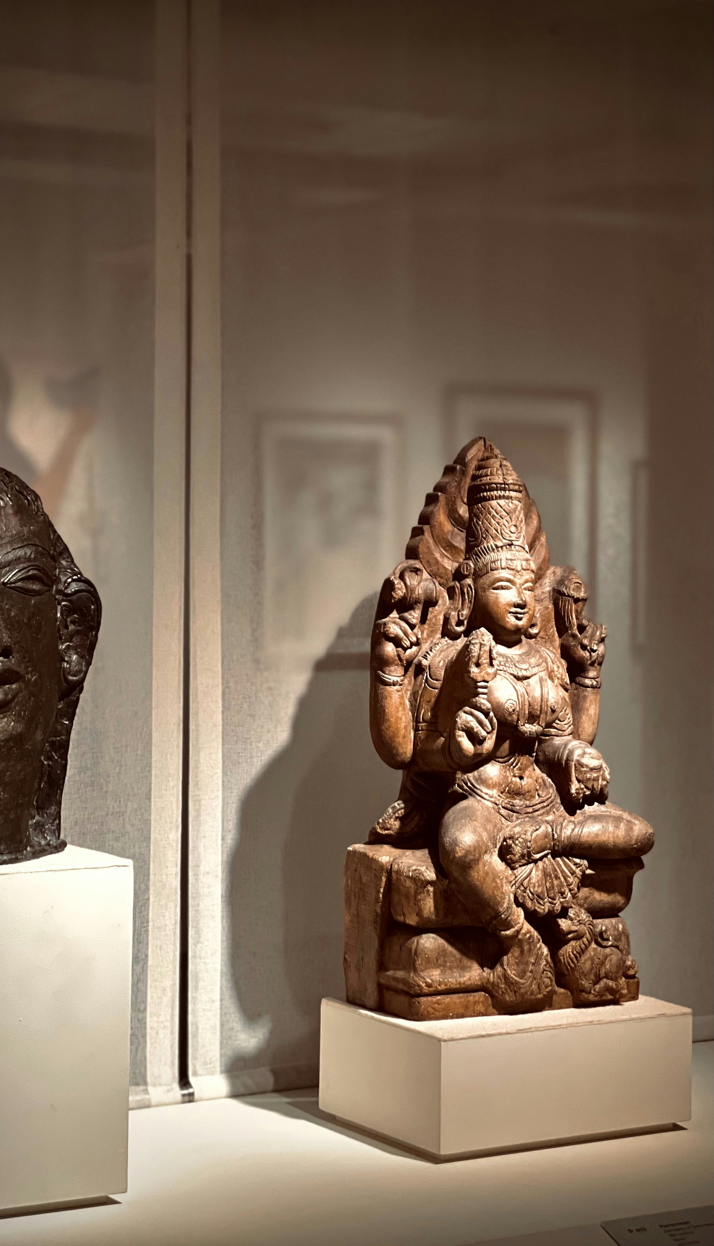 Photo by sreeragsuresh