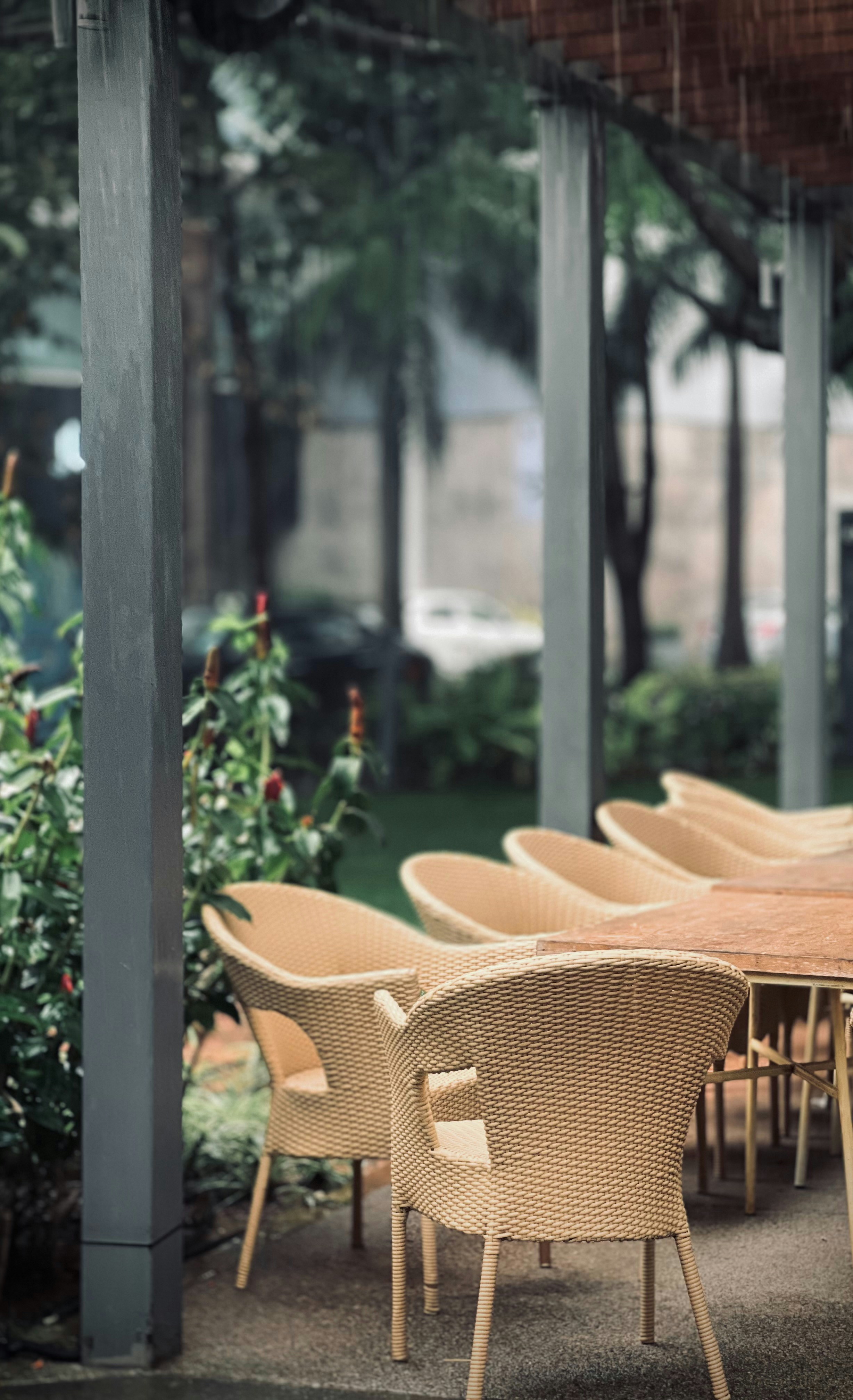 Photo by sreeragsuresh