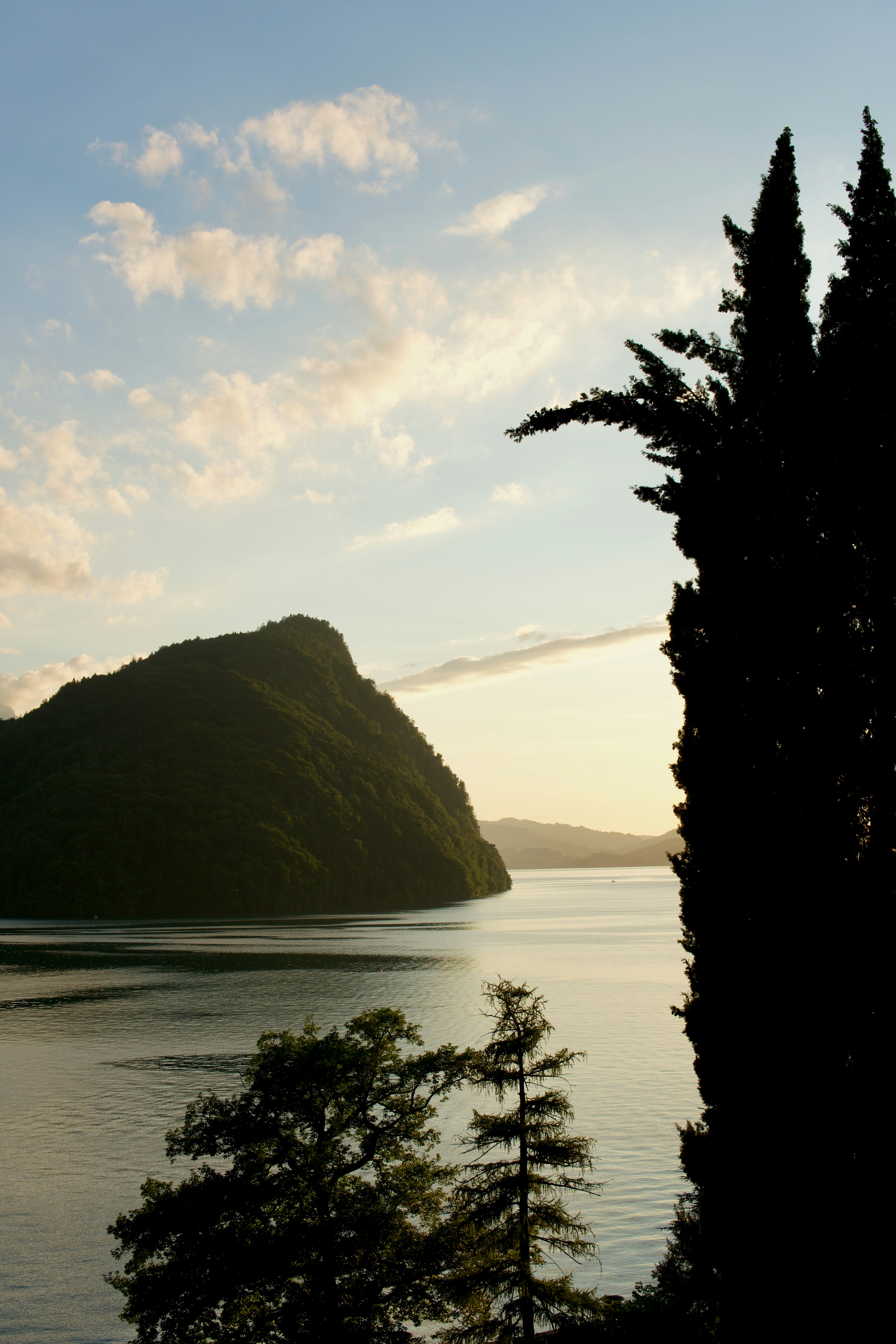 Photo by valcasanova_