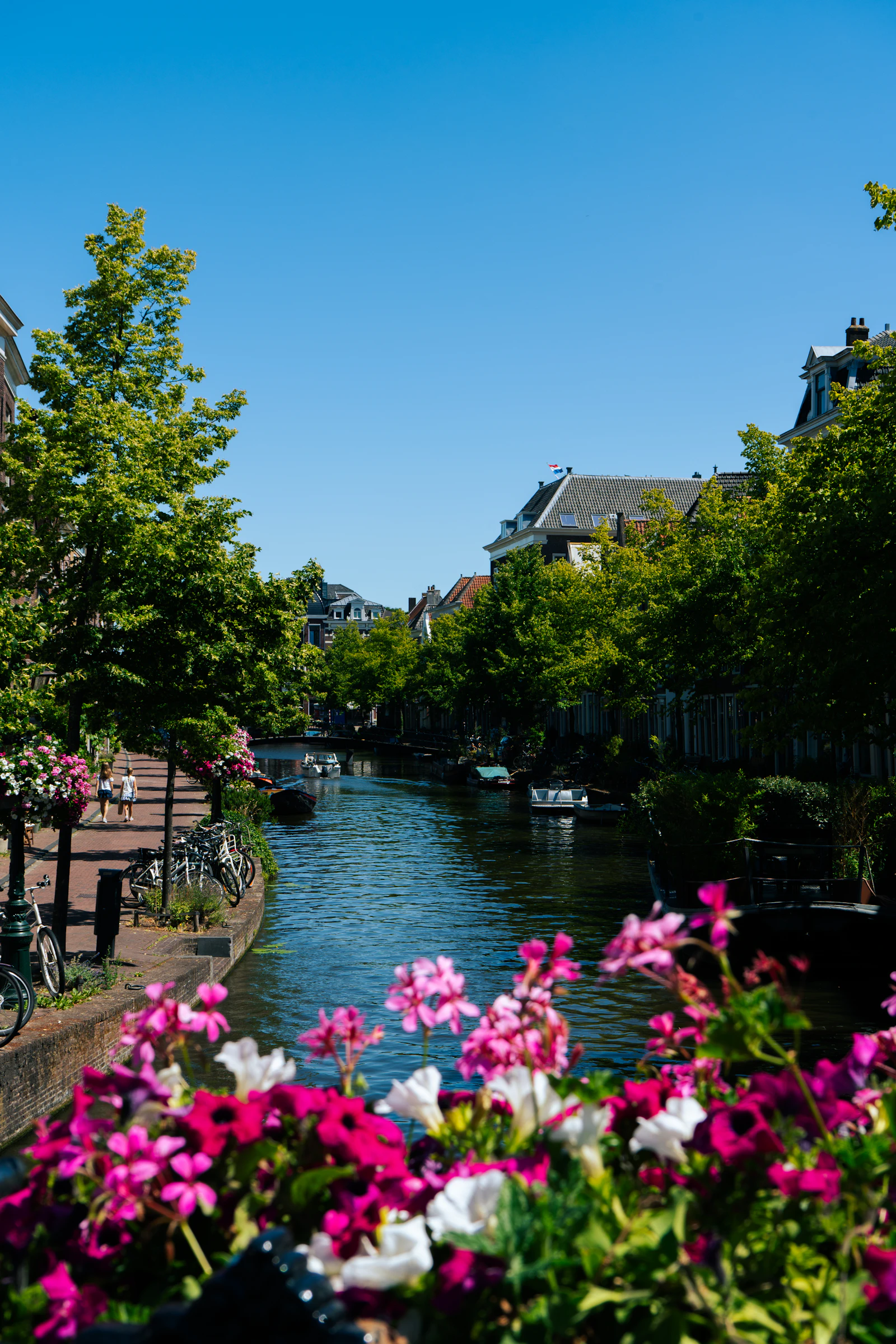 Canal lined with flowers, trees and old houses in Leiden, Netherlands