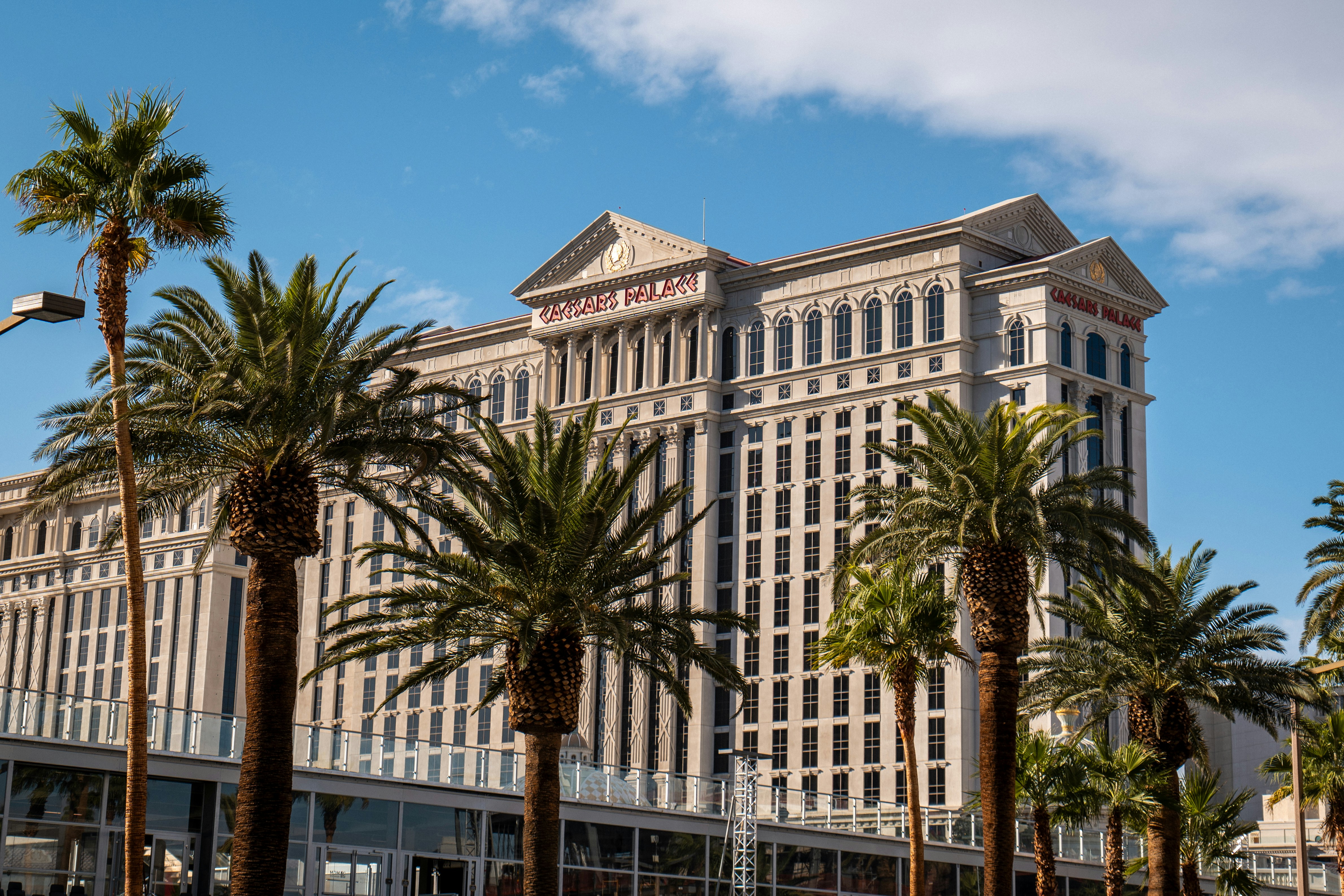 Caesars palace hotel stands tall with palm trees.