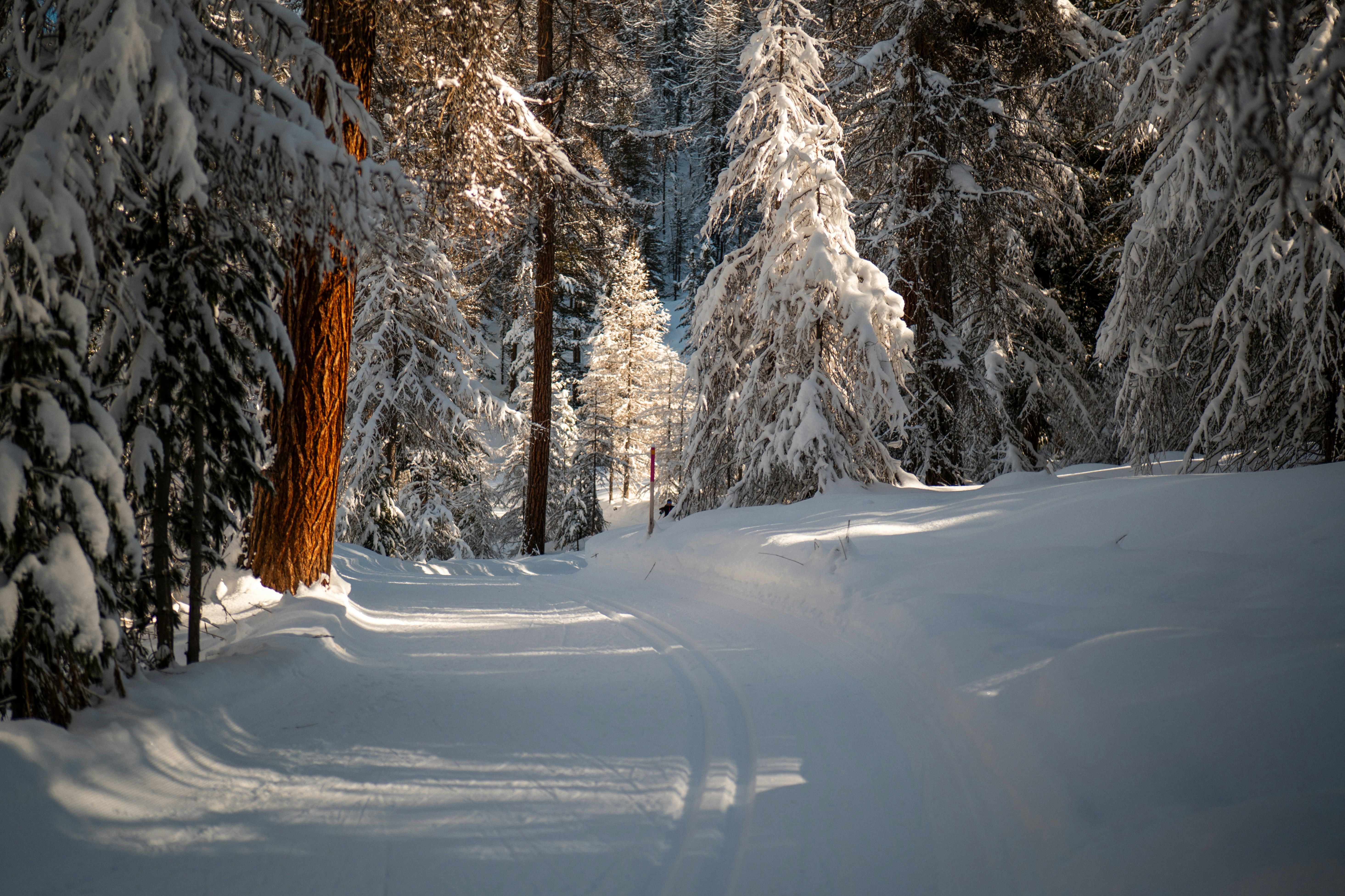 Photo by andr1_aeschli