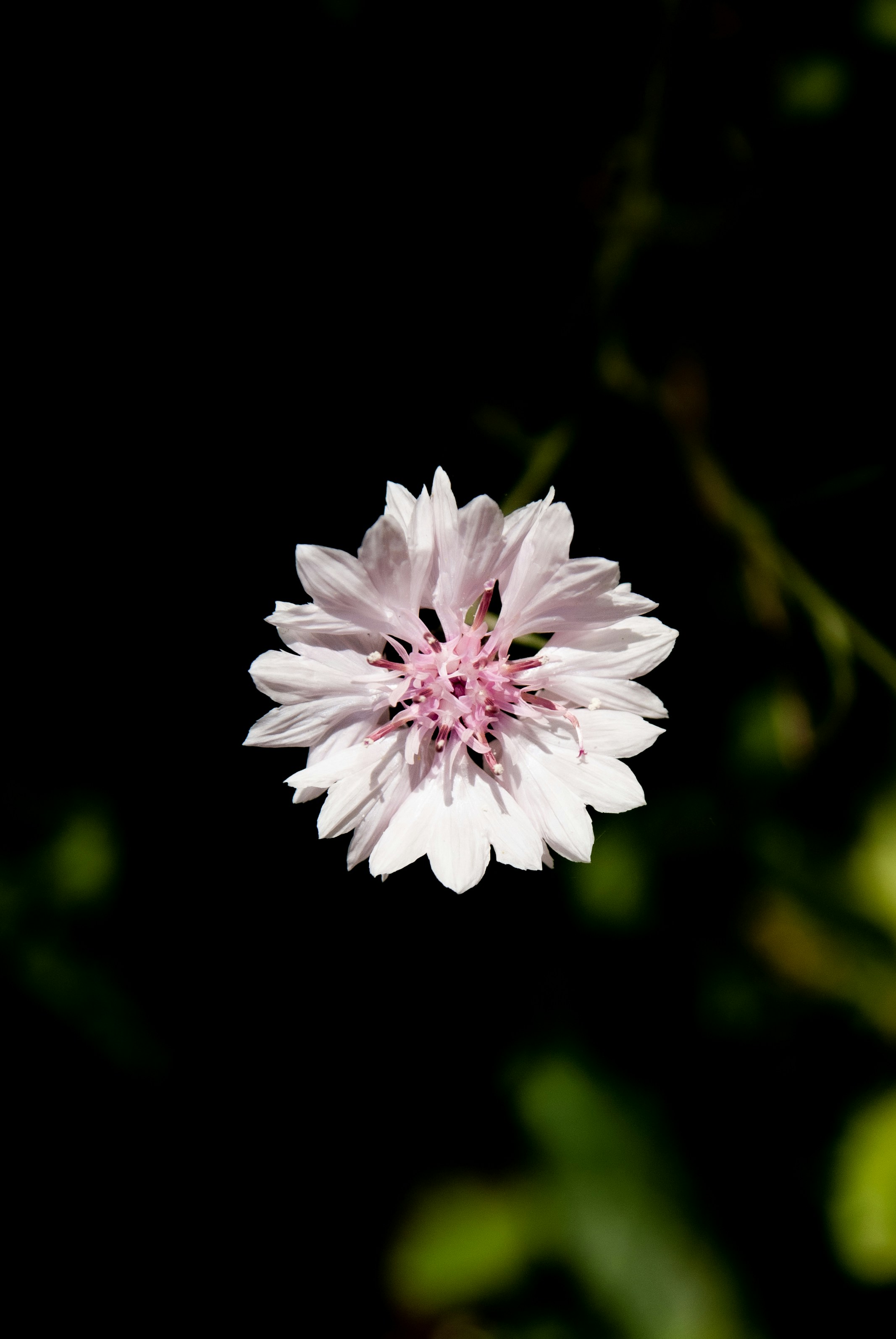 Photo by evavi17