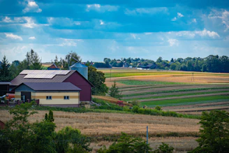 Farm buildings sit among fields under a blue sky.
