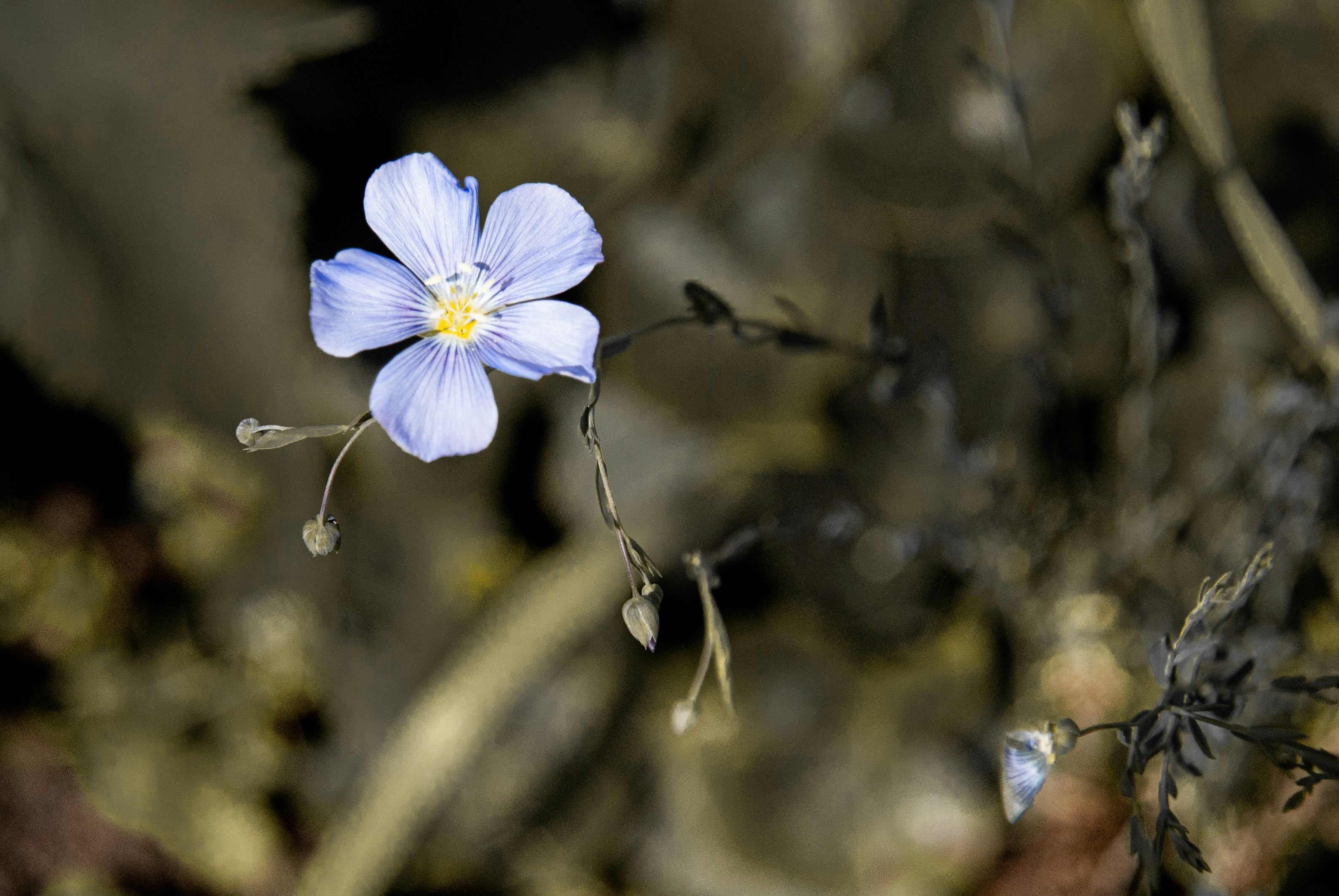 Photo by evavi17