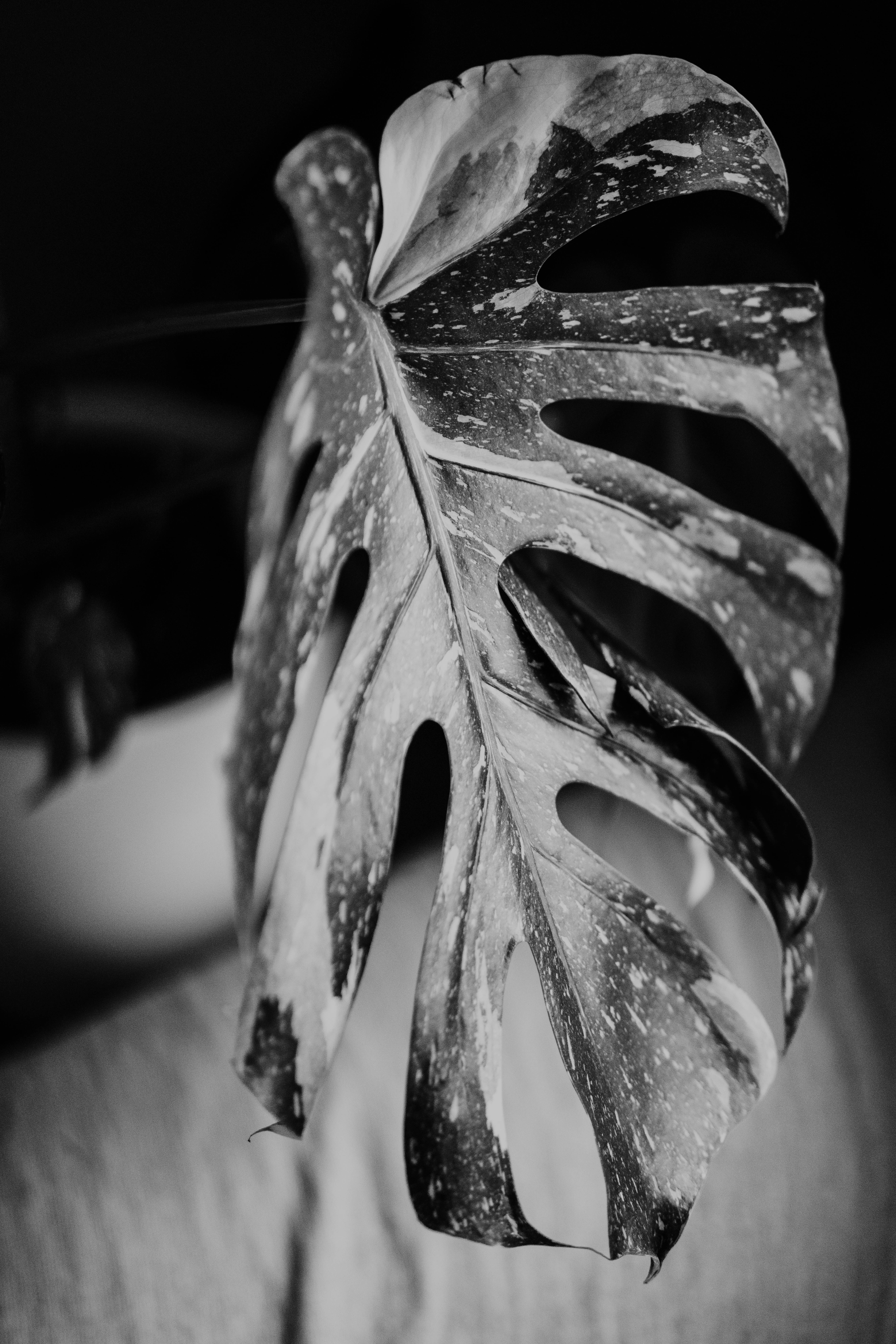 Photo by philhearing