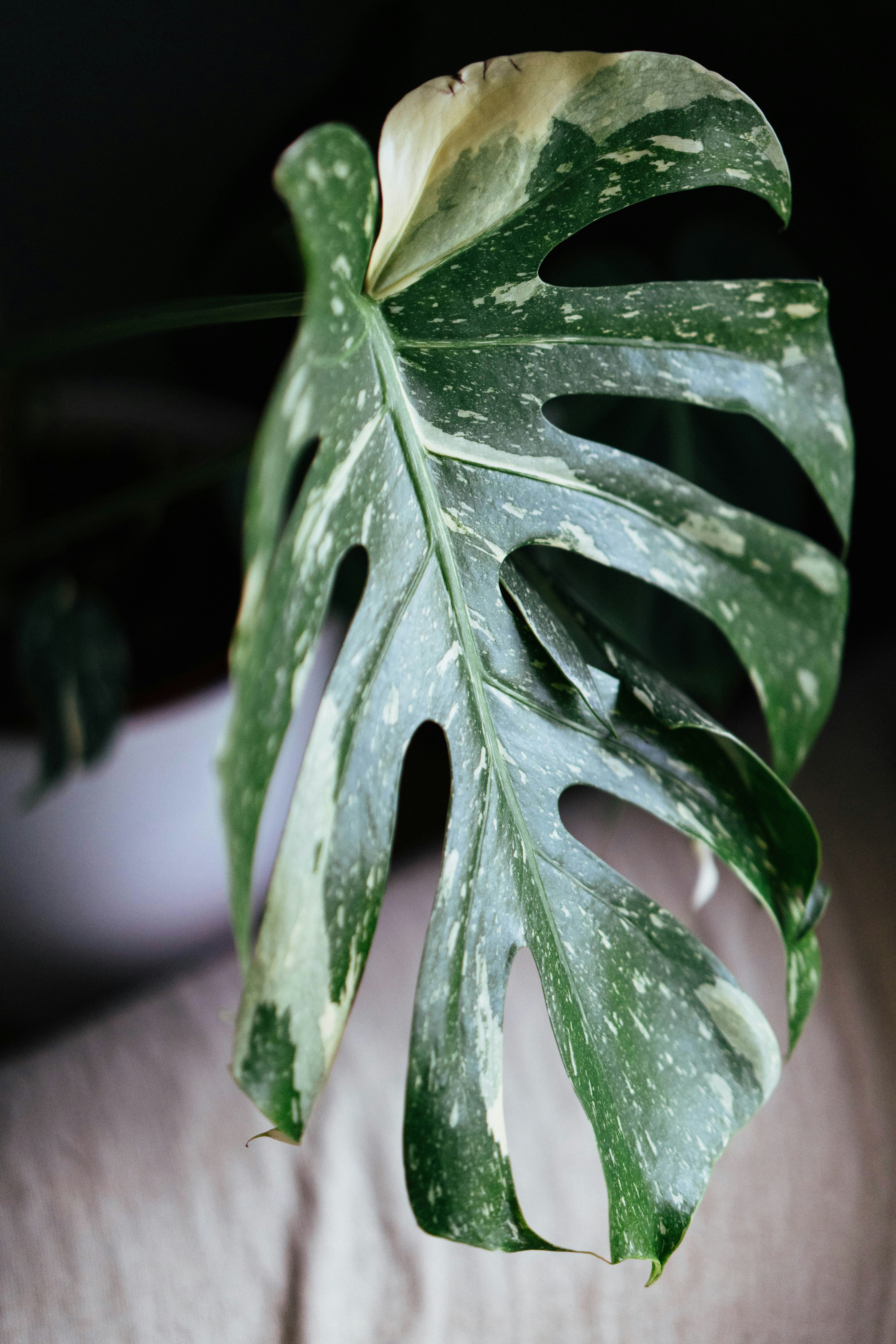 Photo by philhearing