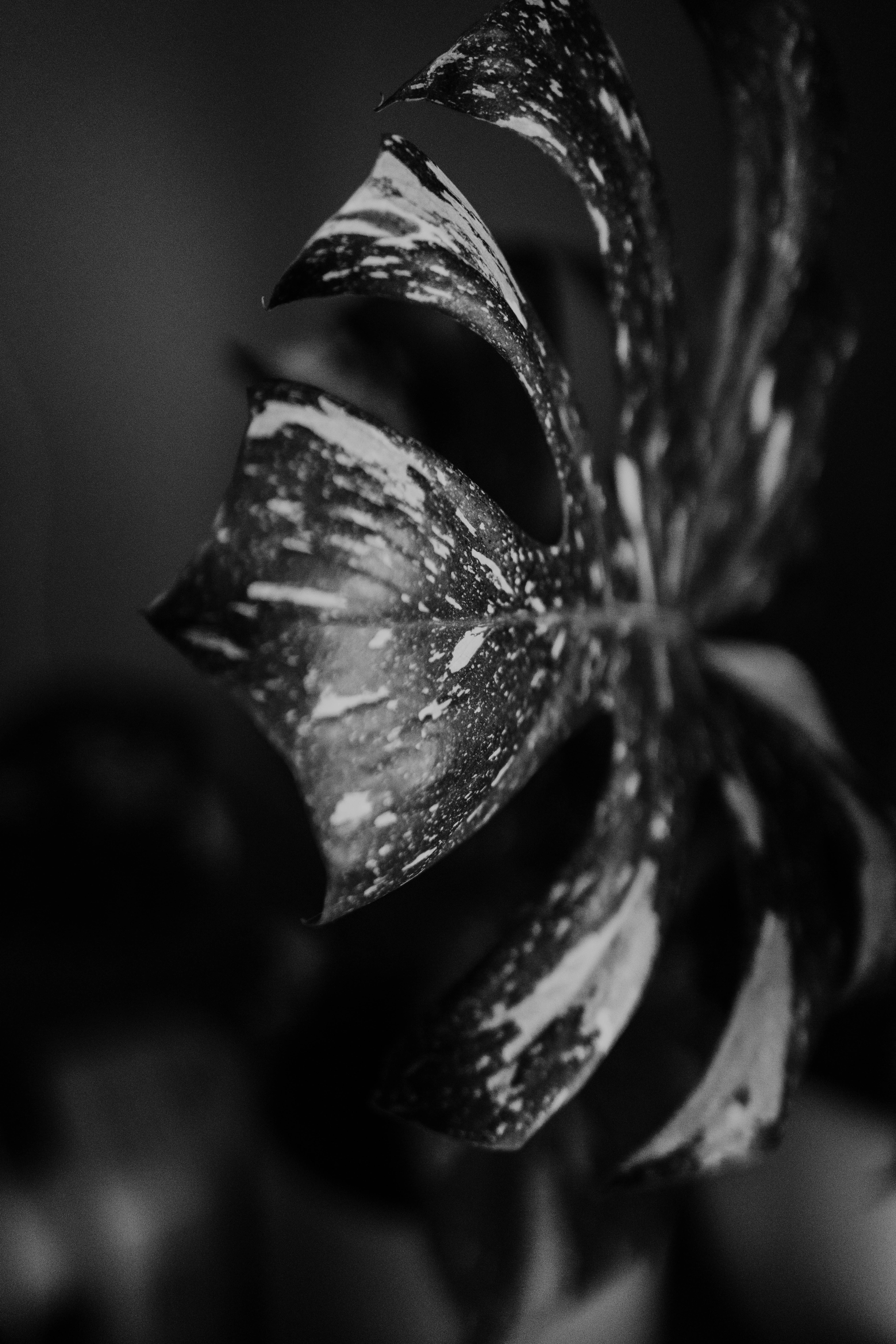 Photo by philhearing