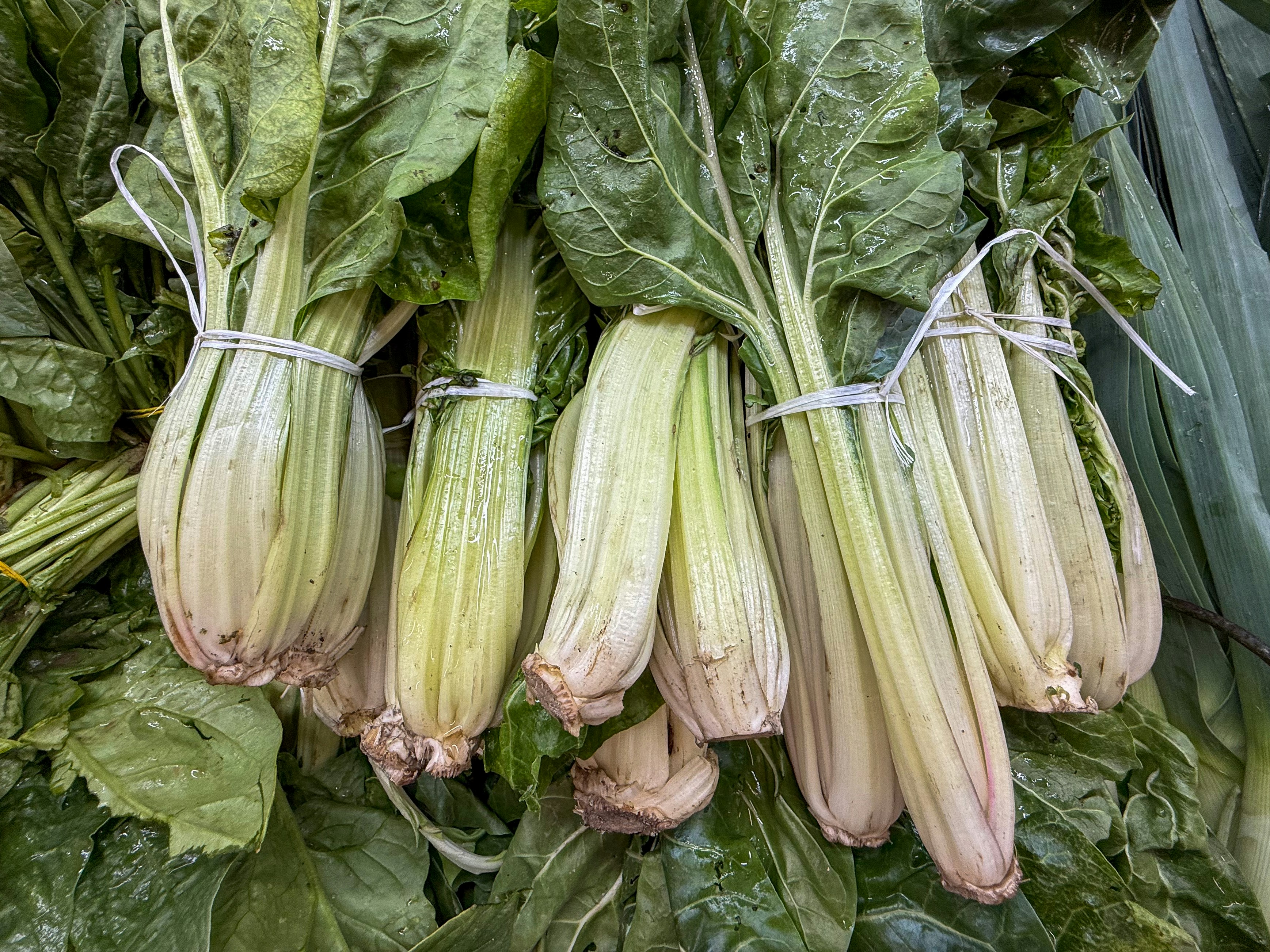 Photo by eddiepipocas