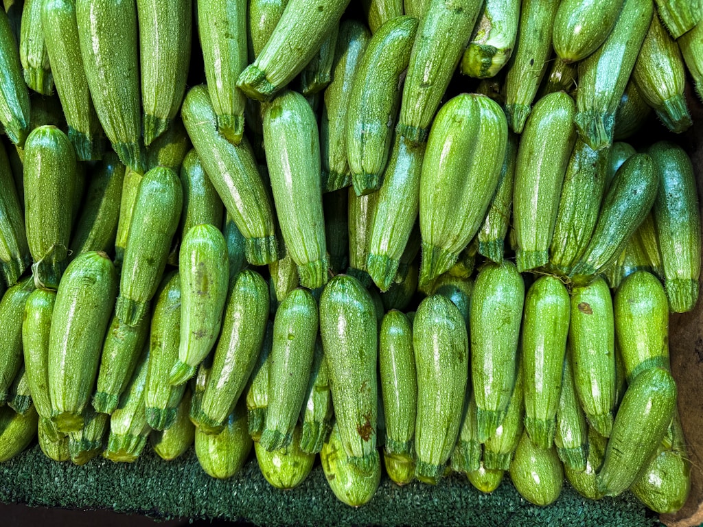 Fresh whole zucchini piled together ready to be shredded for fritters