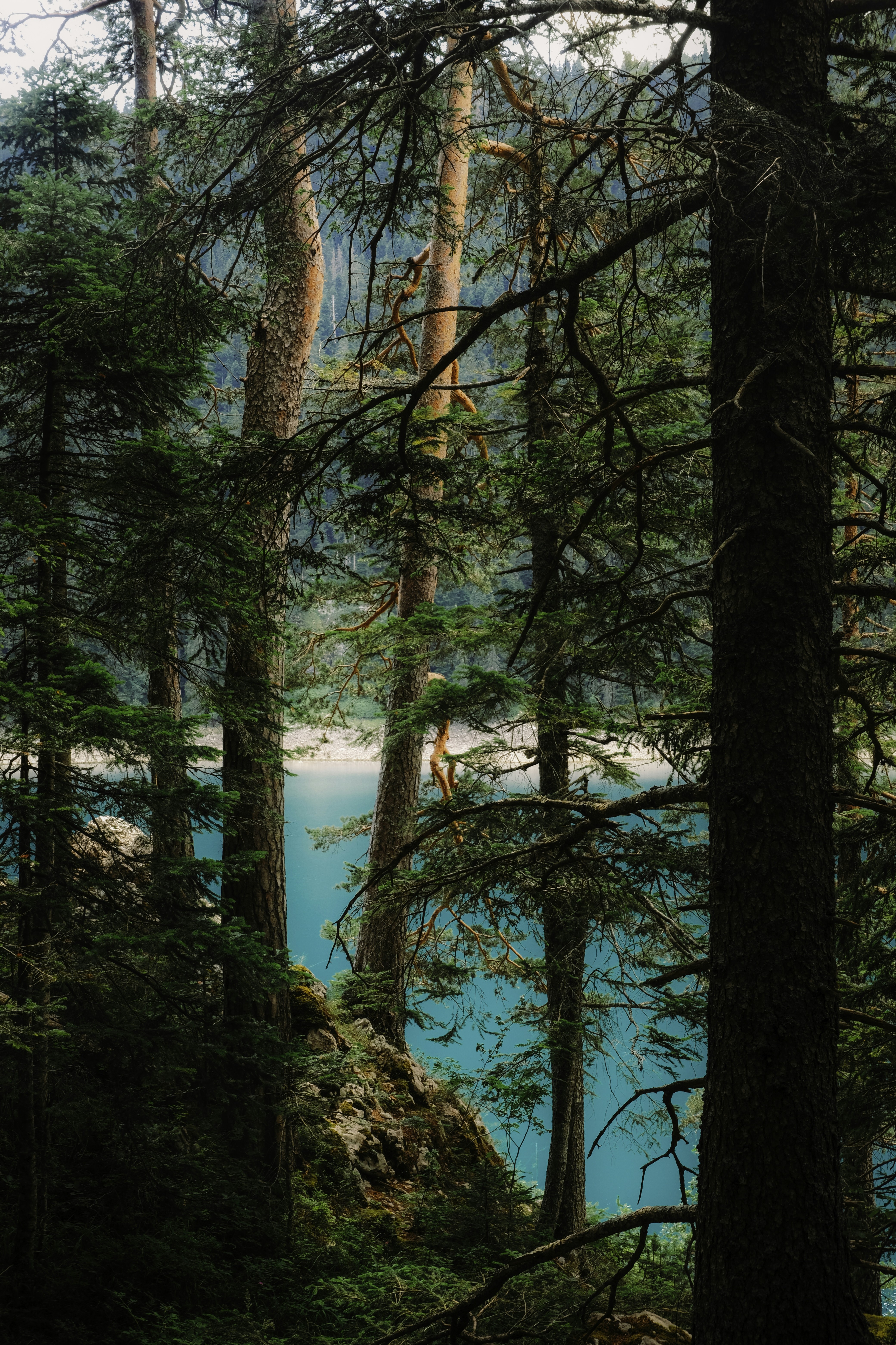 Photo by marishphoto