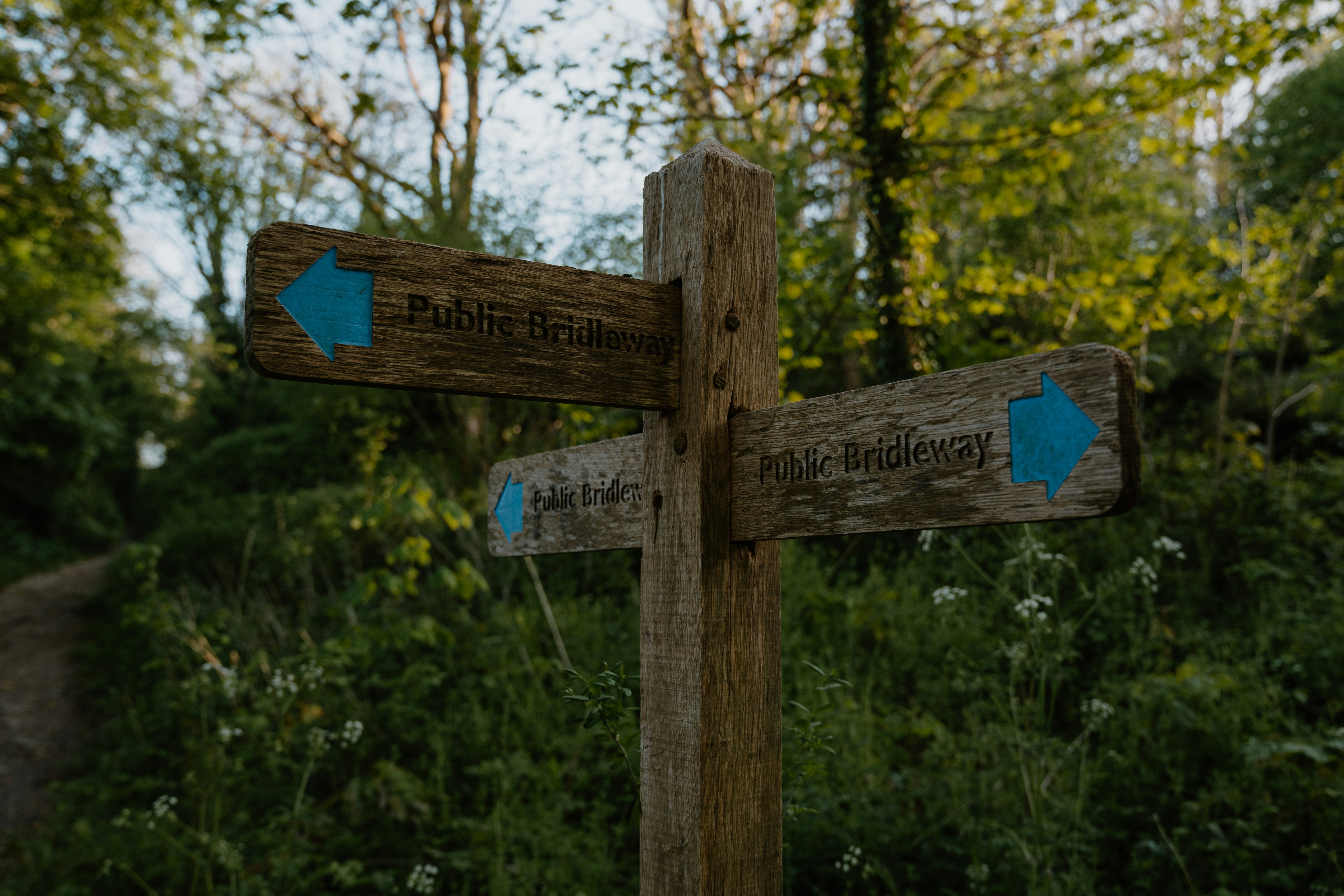 Photo by jenniferbirtlesphotography