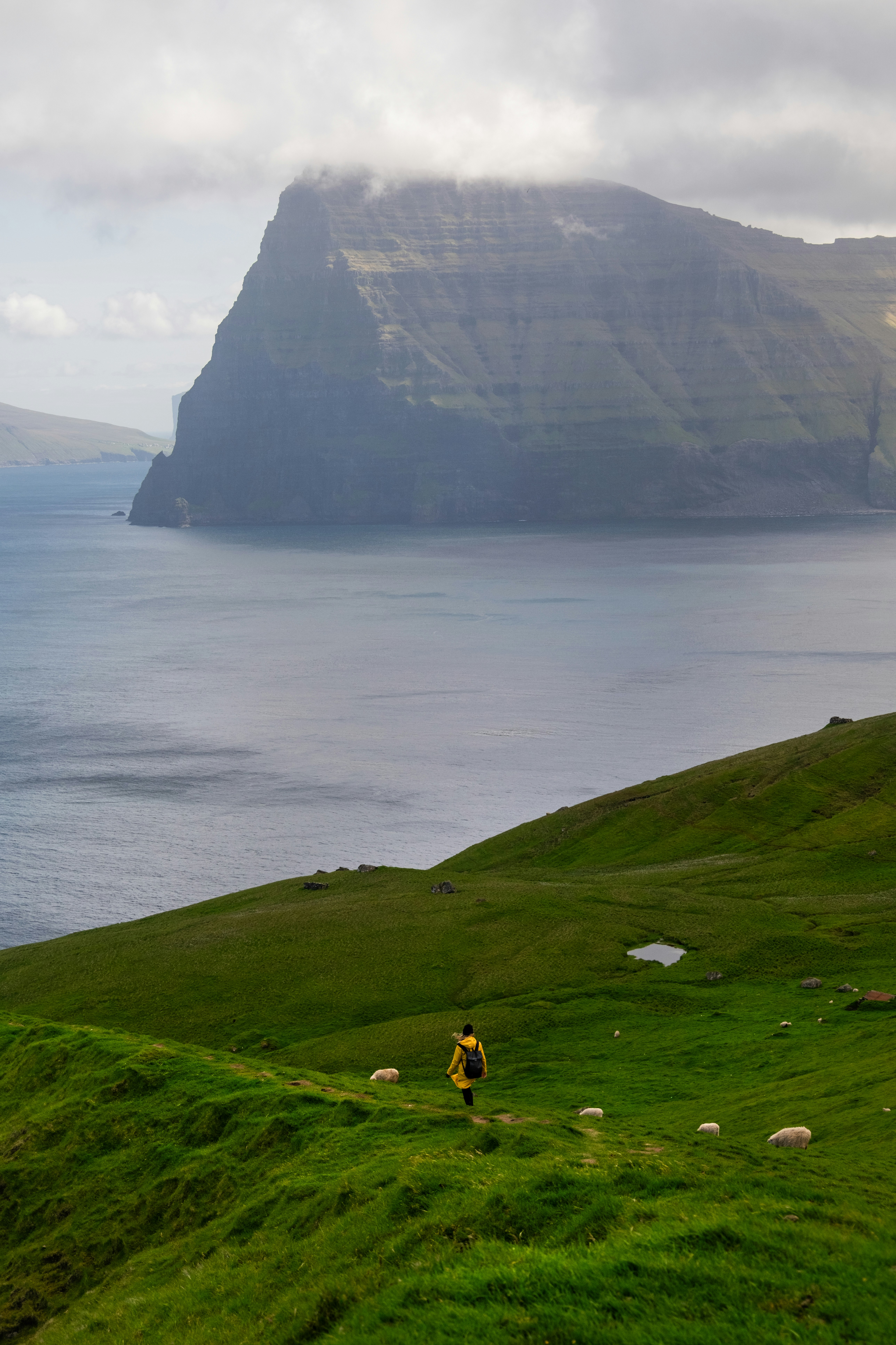 A person walks across green hills near the ocean.