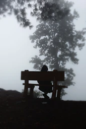 A person sits on a bench in the fog.