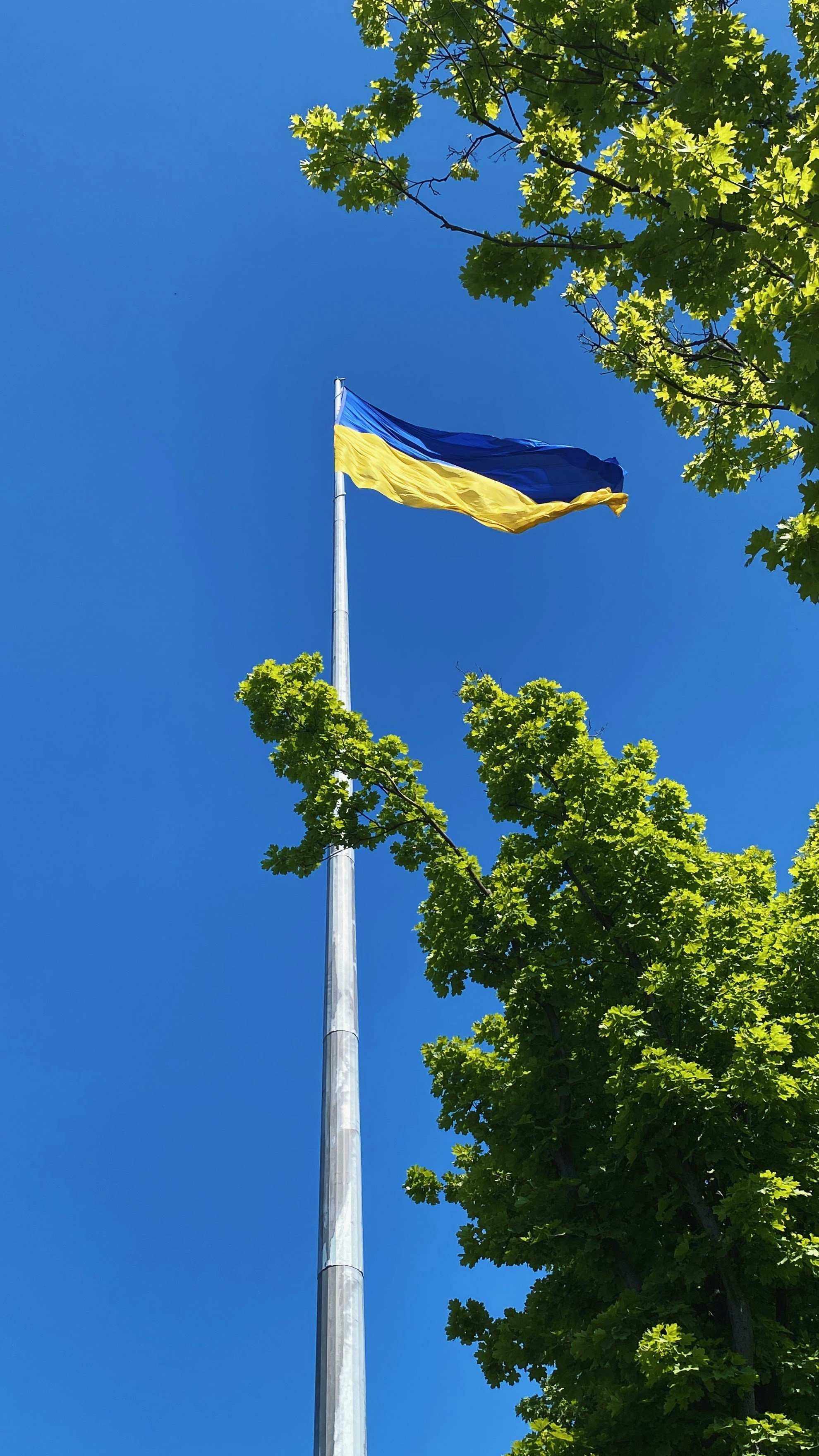 The ukrainian flag flies proudly in the blue sky.