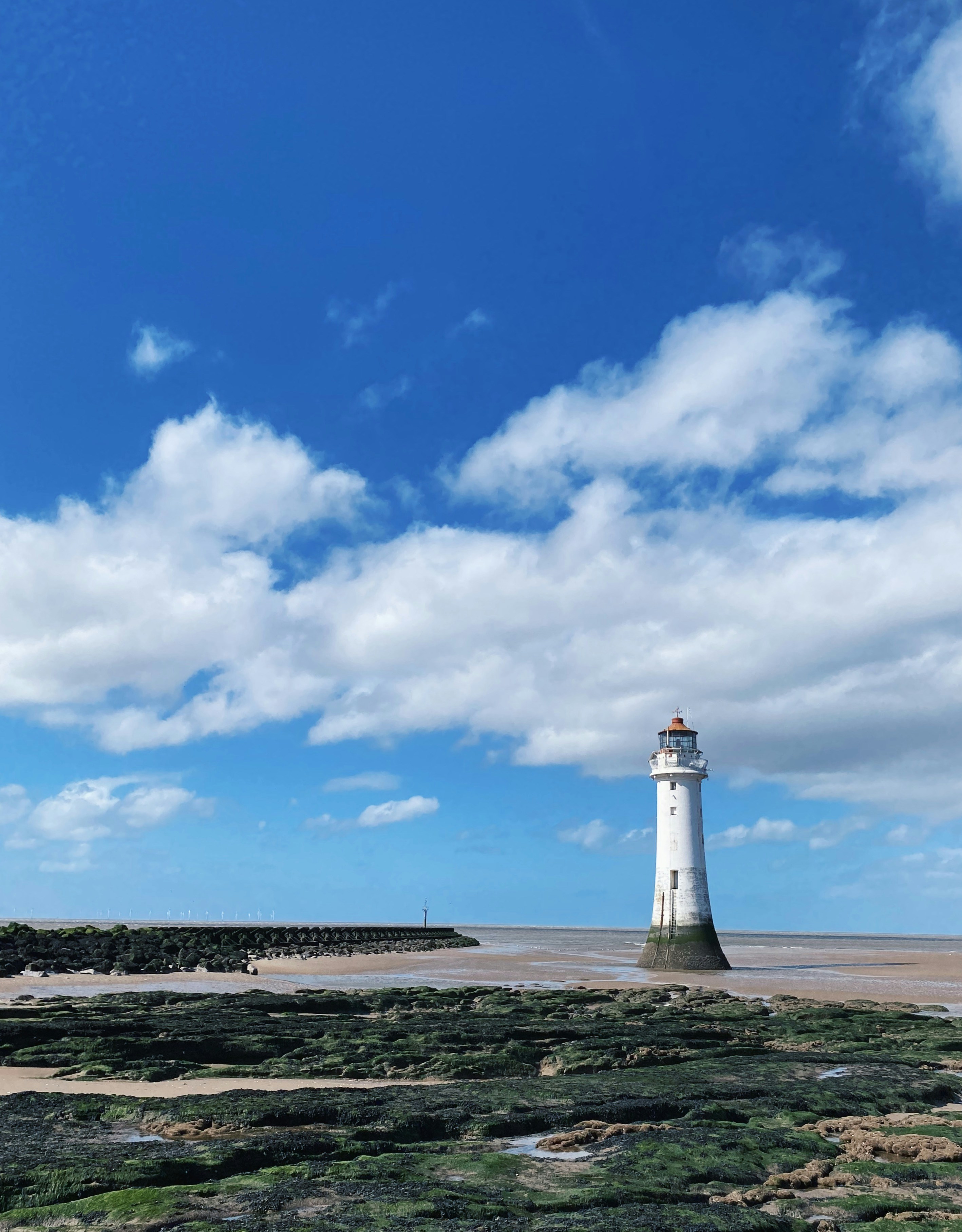 Photo by melodic_owl