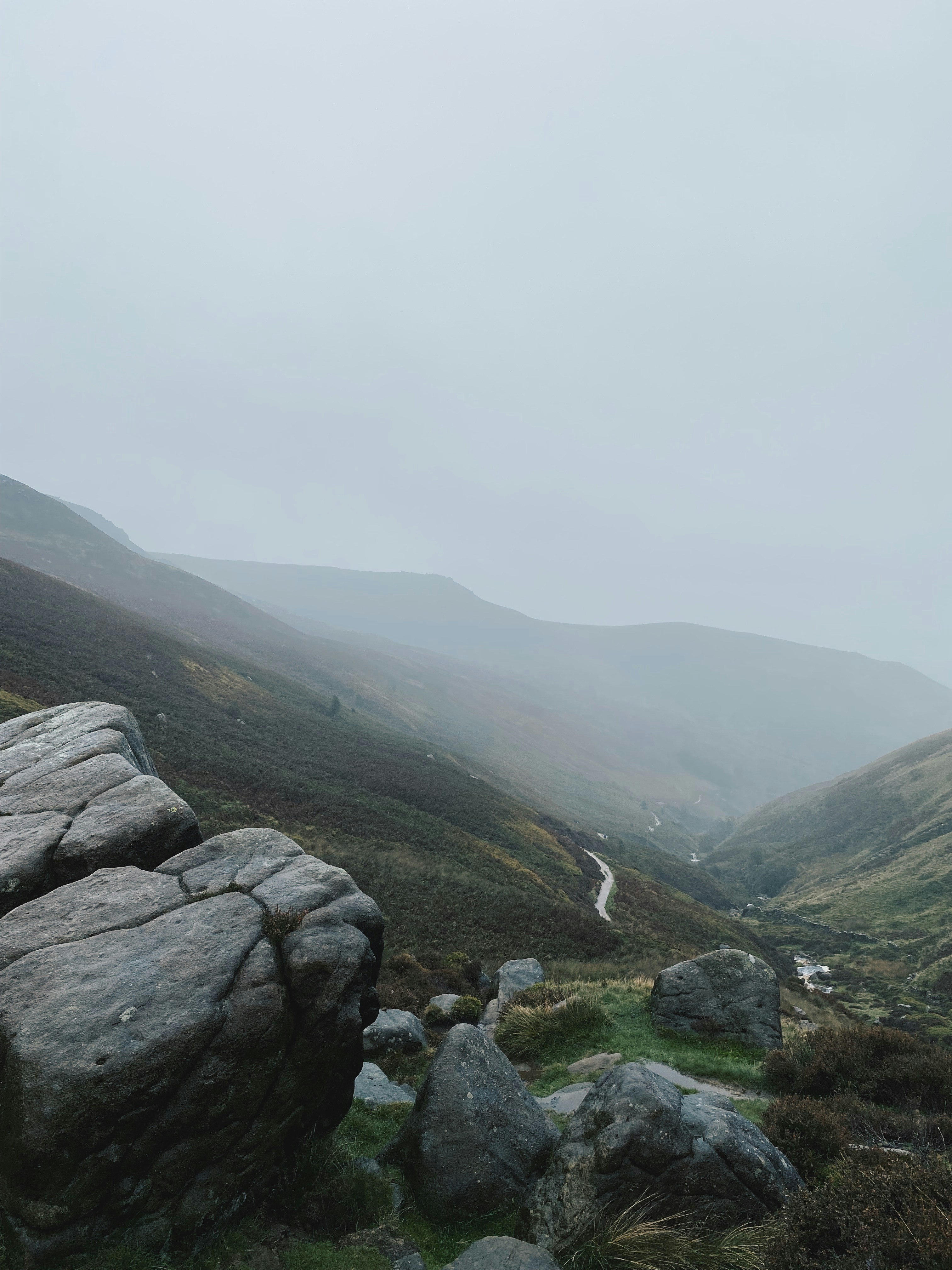 Photo by melodic_owl