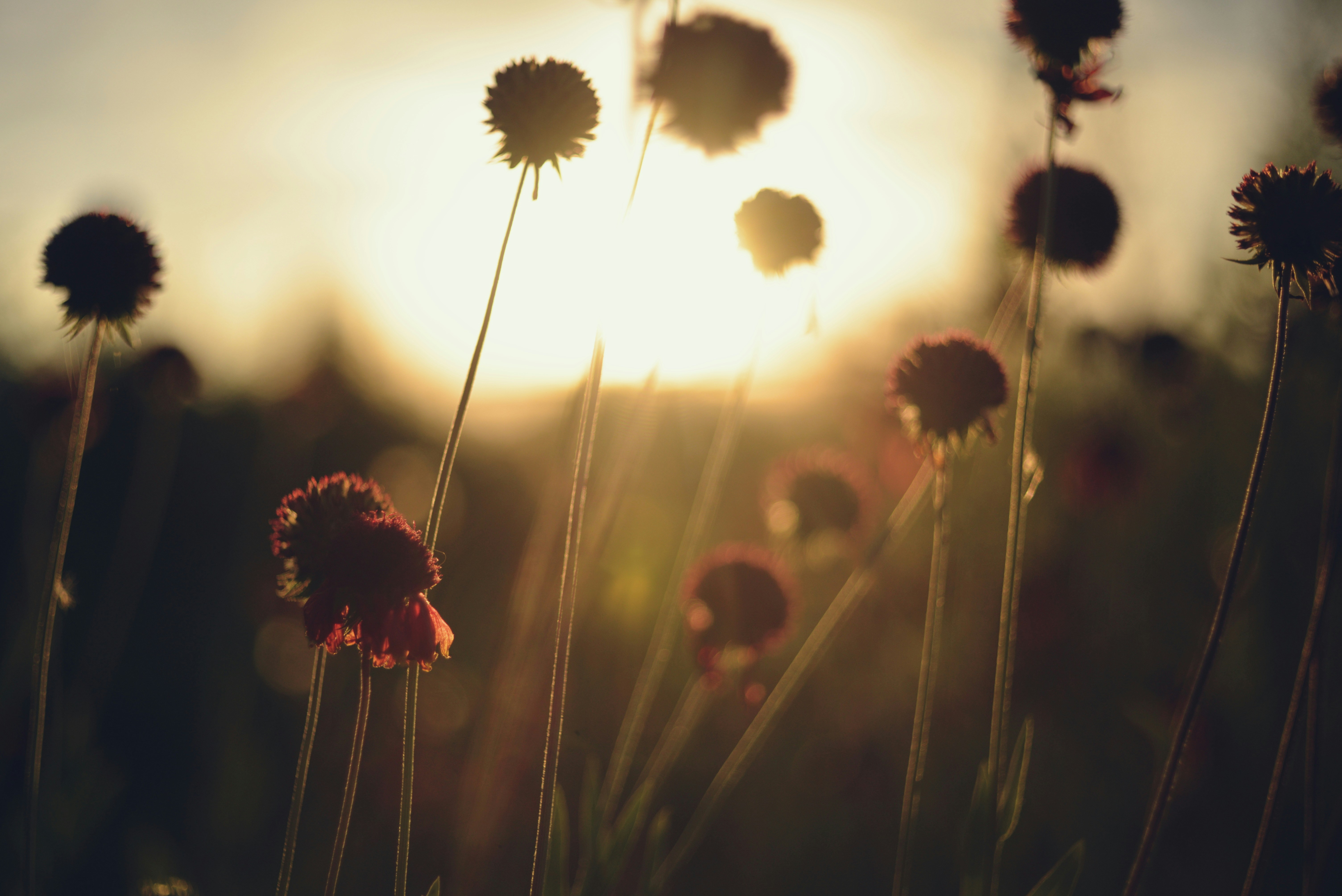 Photo by cherstve_pechivo