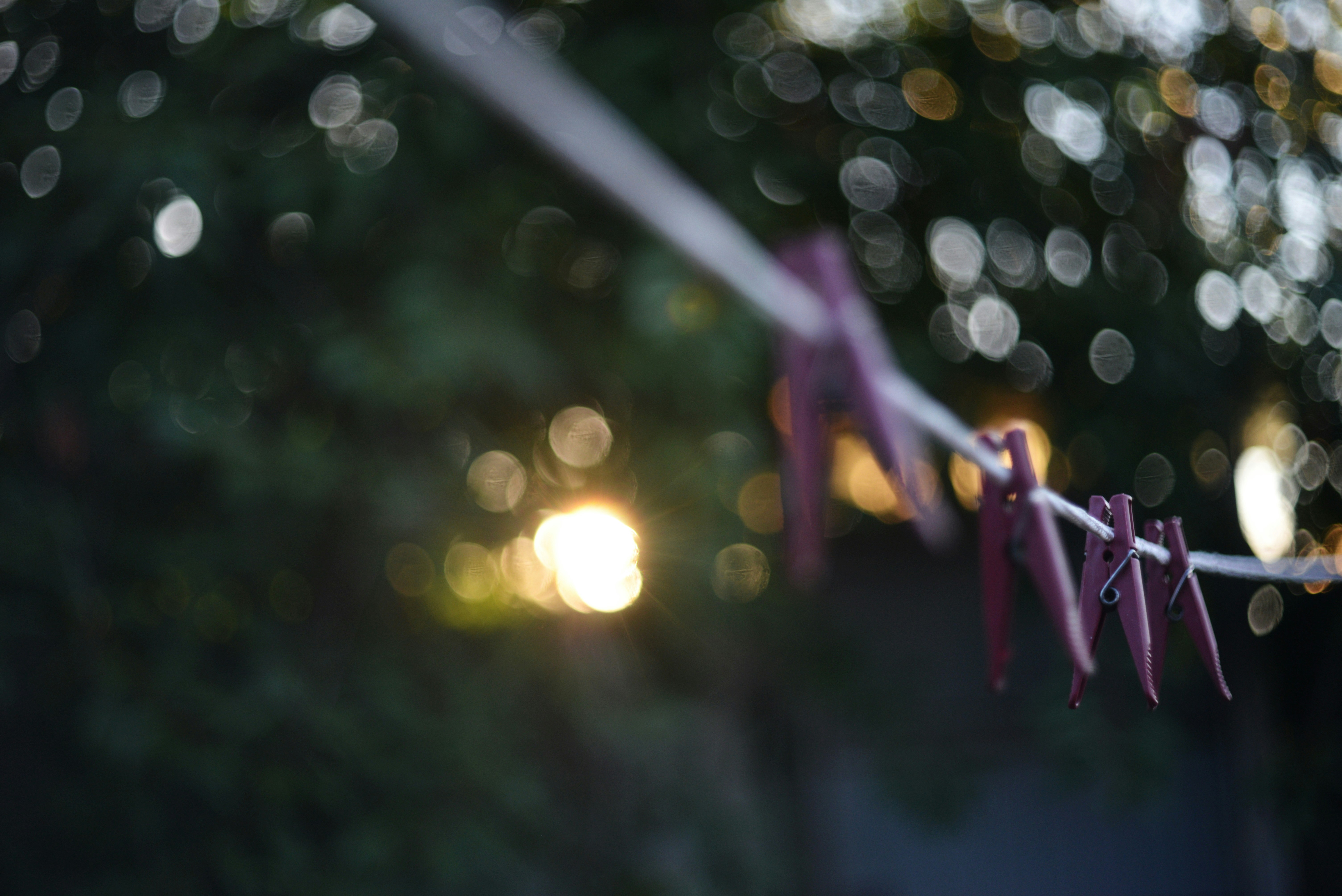 Photo by cherstve_pechivo