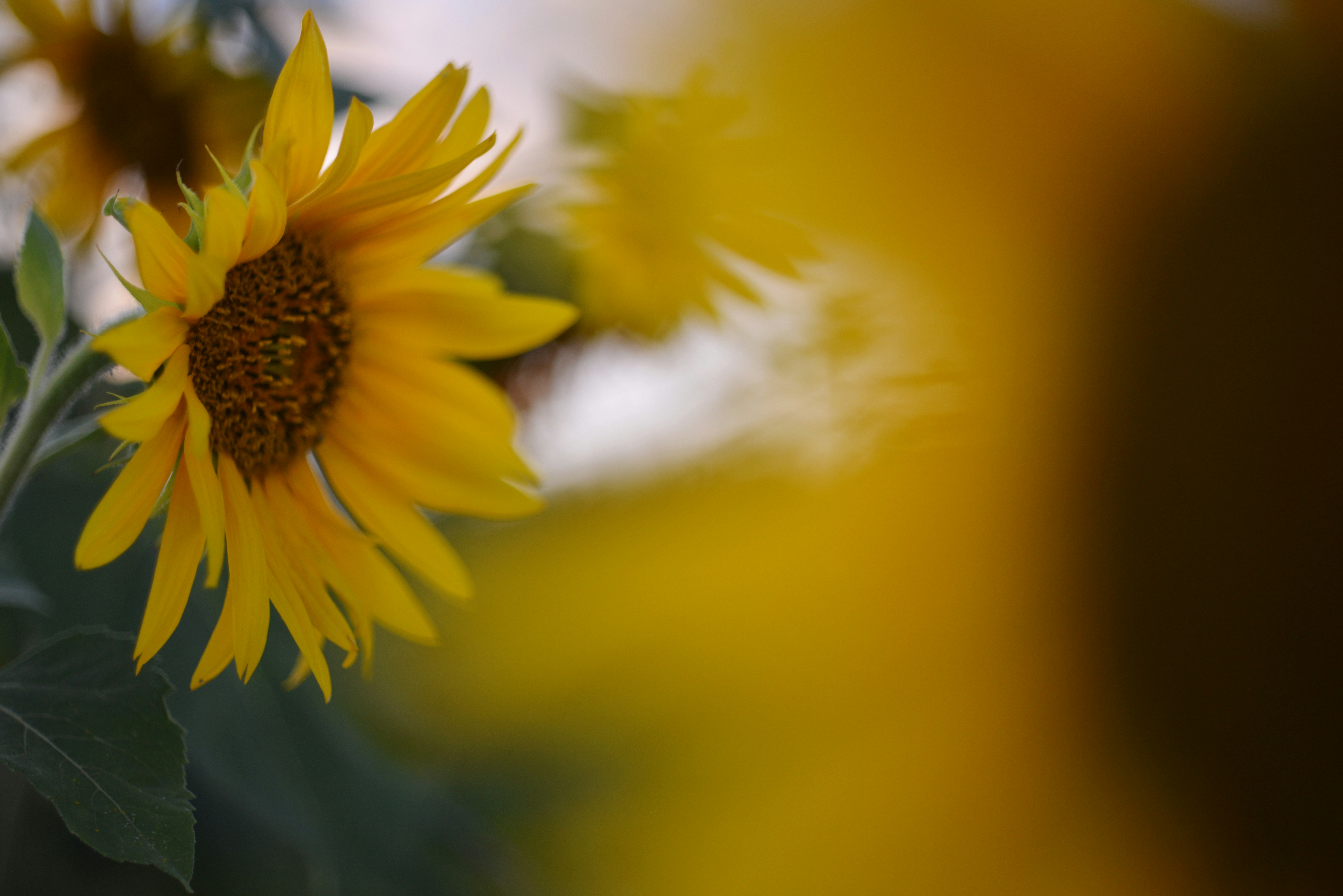 Photo by cherstve_pechivo