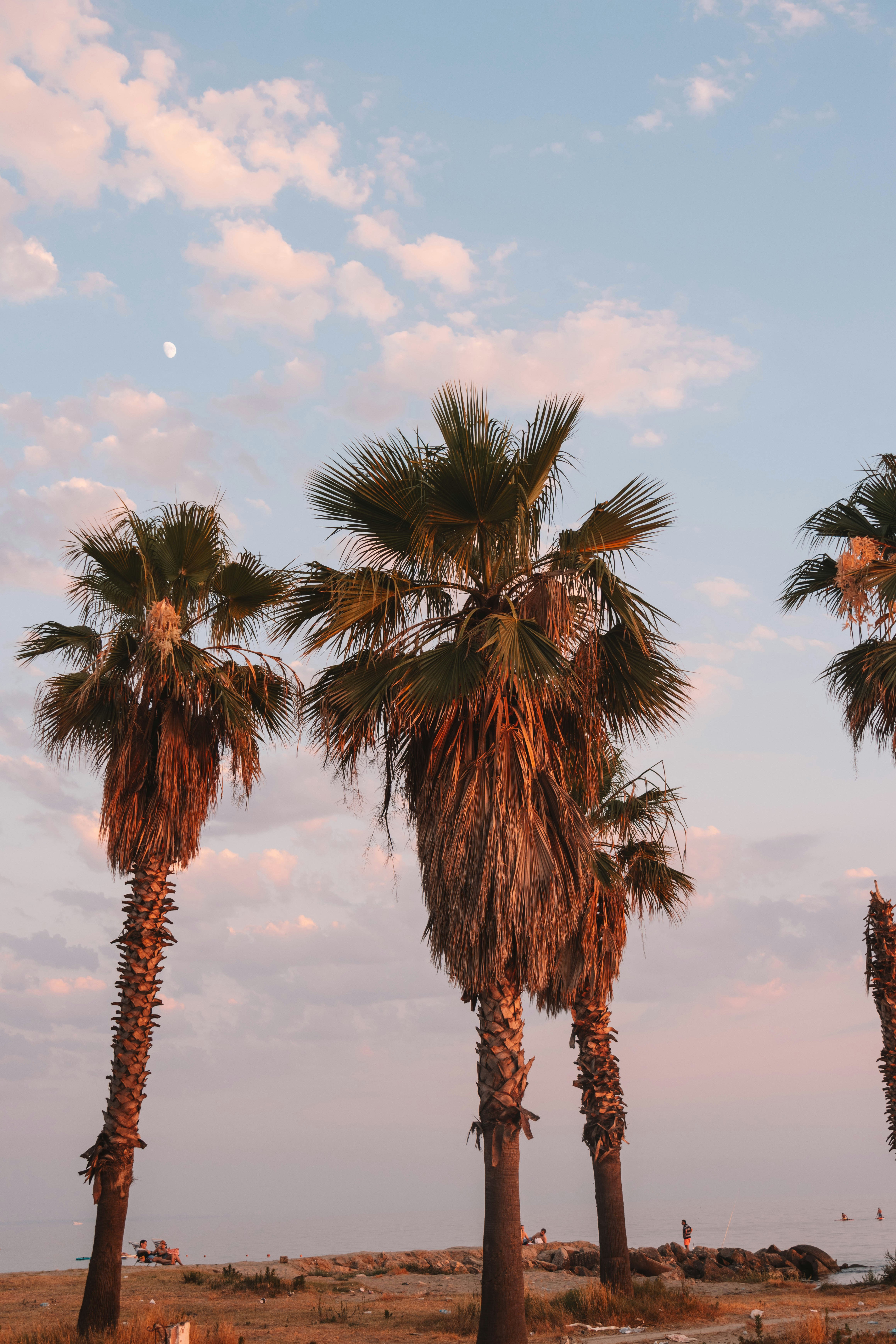 Photo by ingridmartinussen