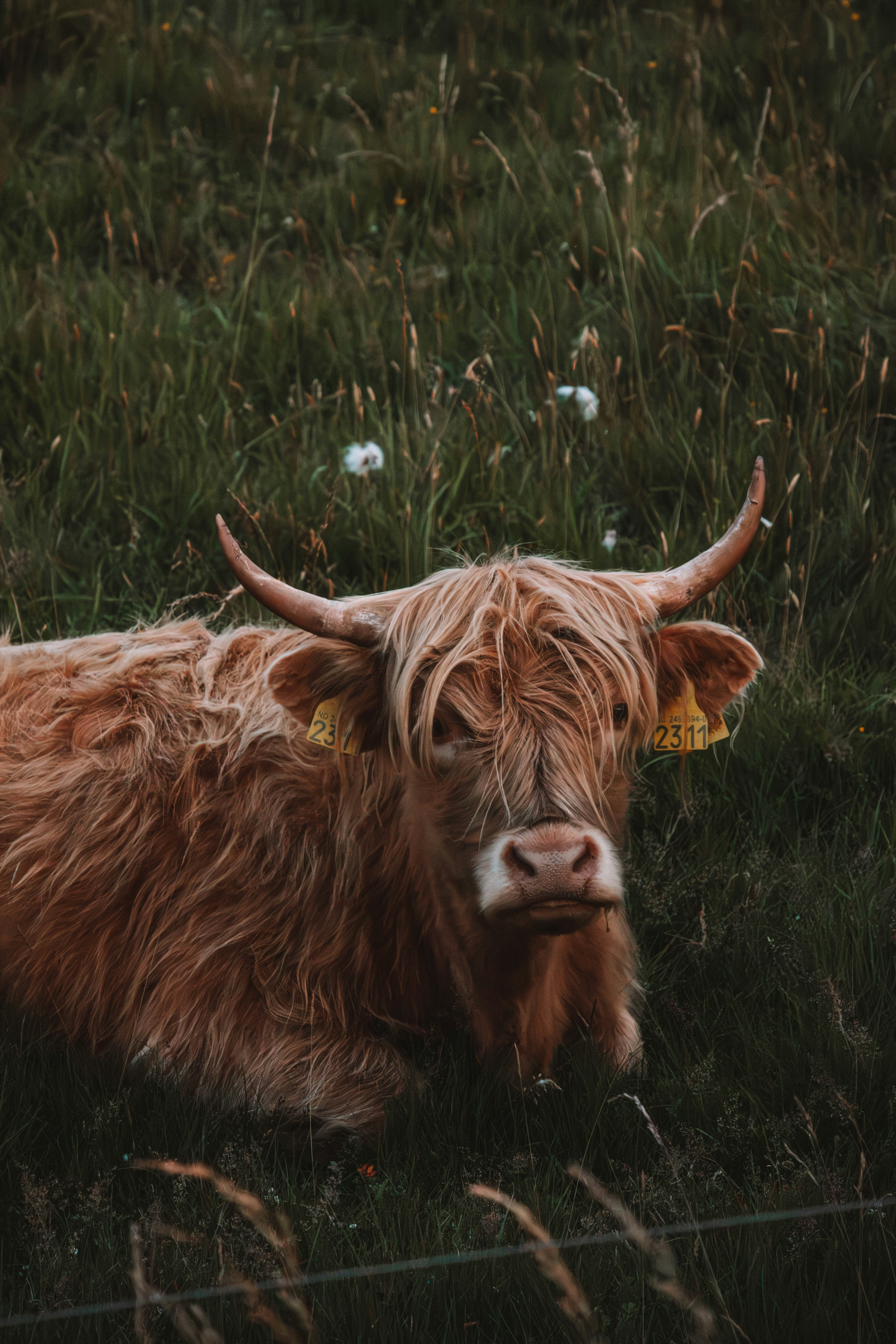 Photo by ingridmartinussen