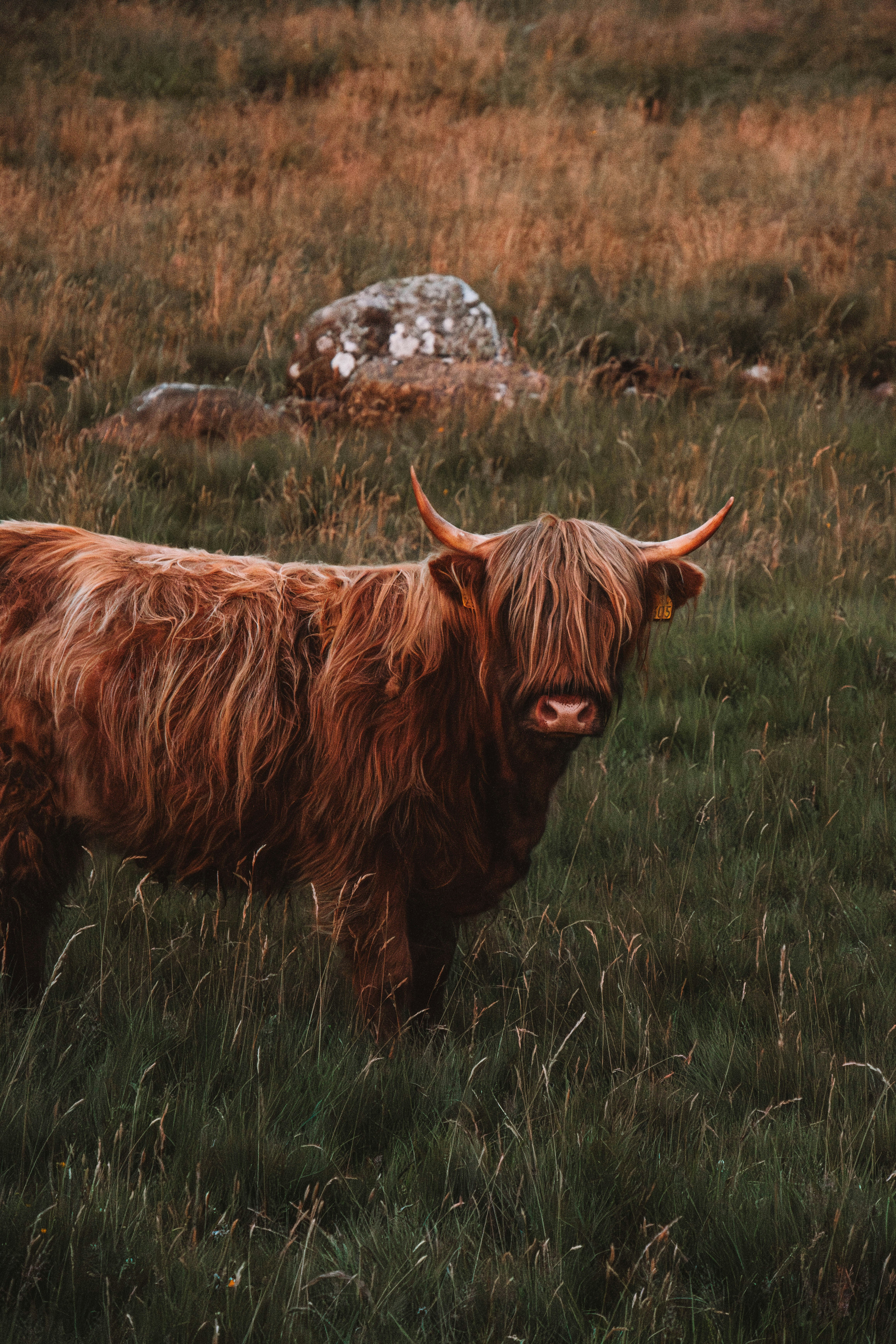 Photo by ingridmartinussen