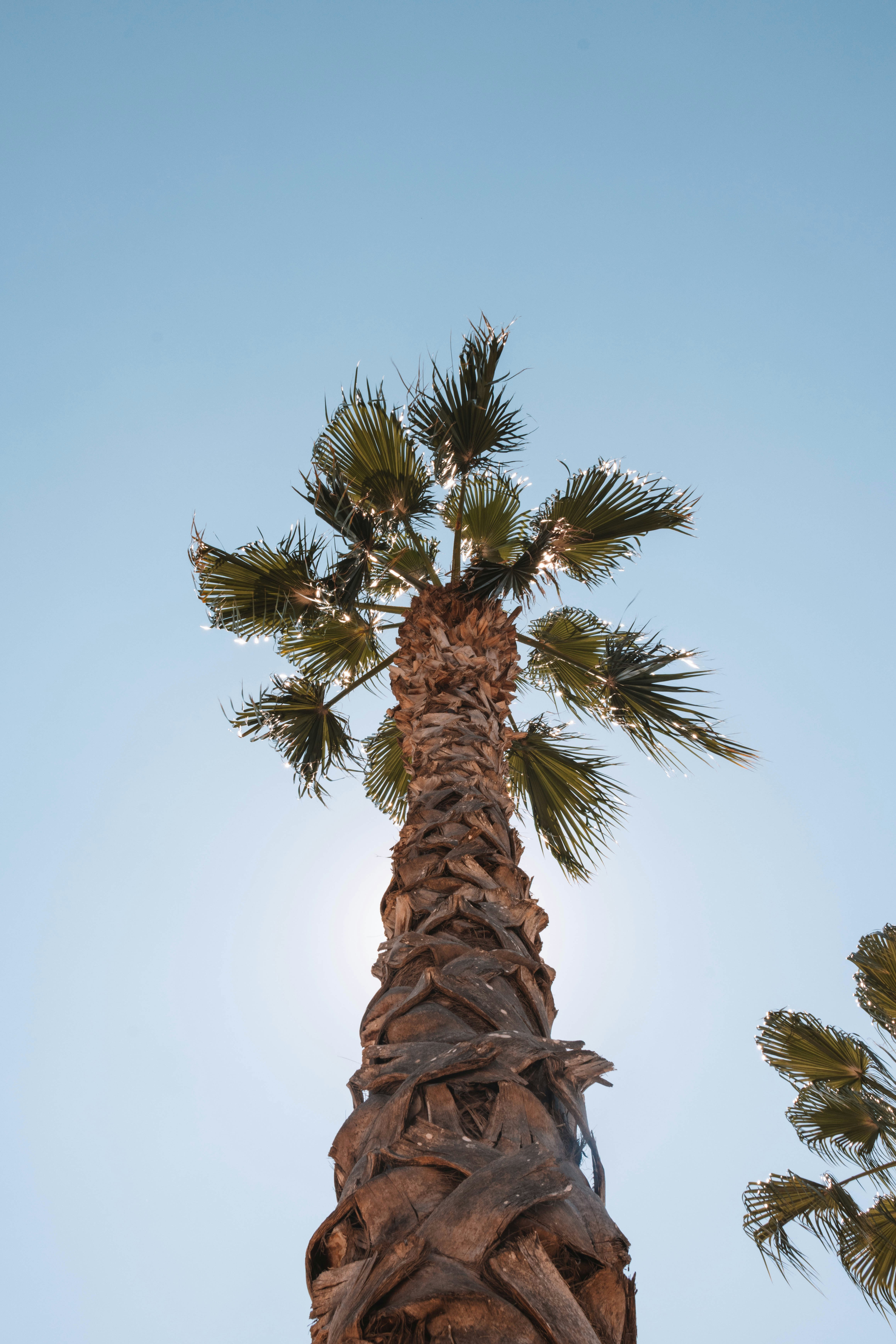 Photo by ingridmartinussen