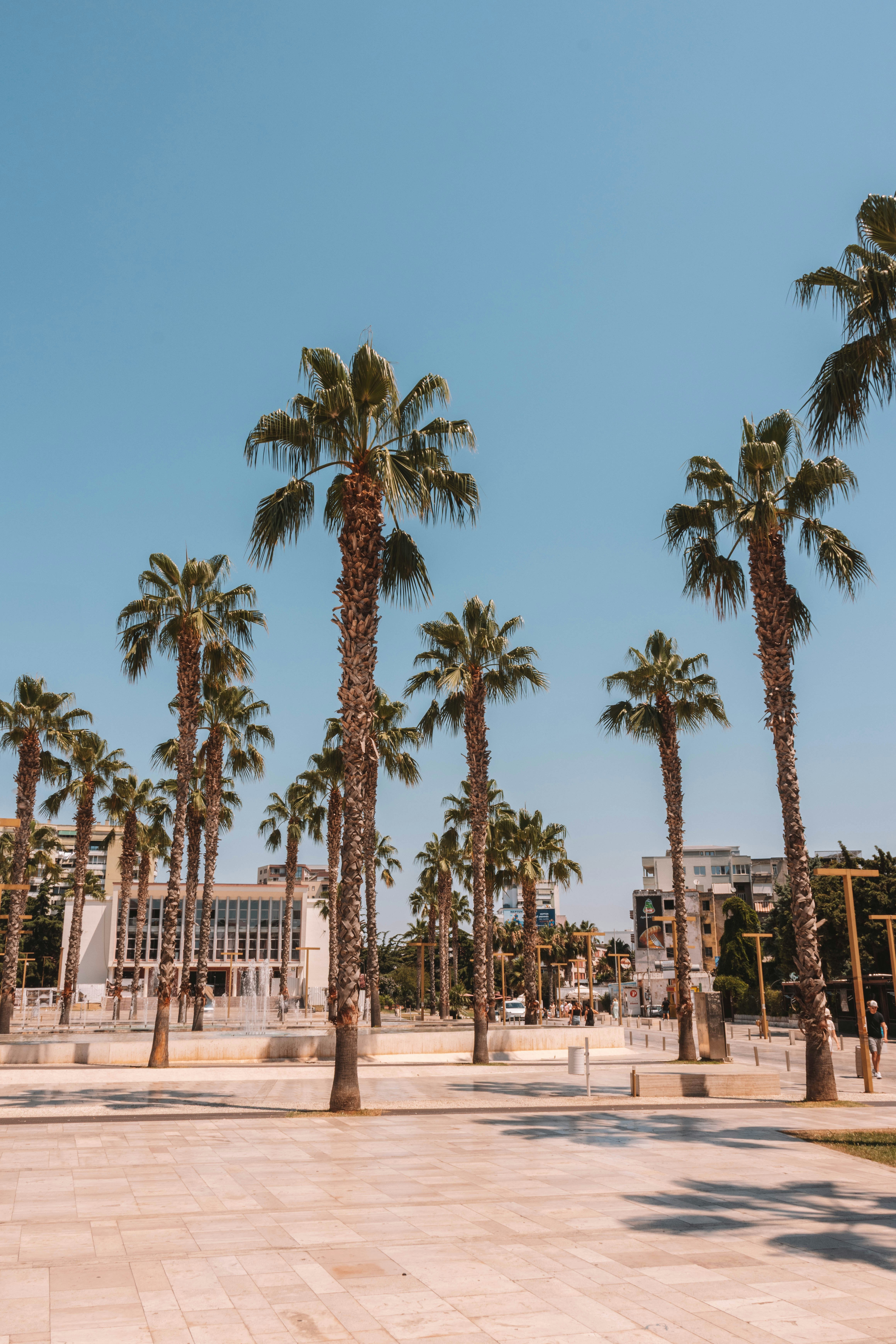 Photo by ingridmartinussen