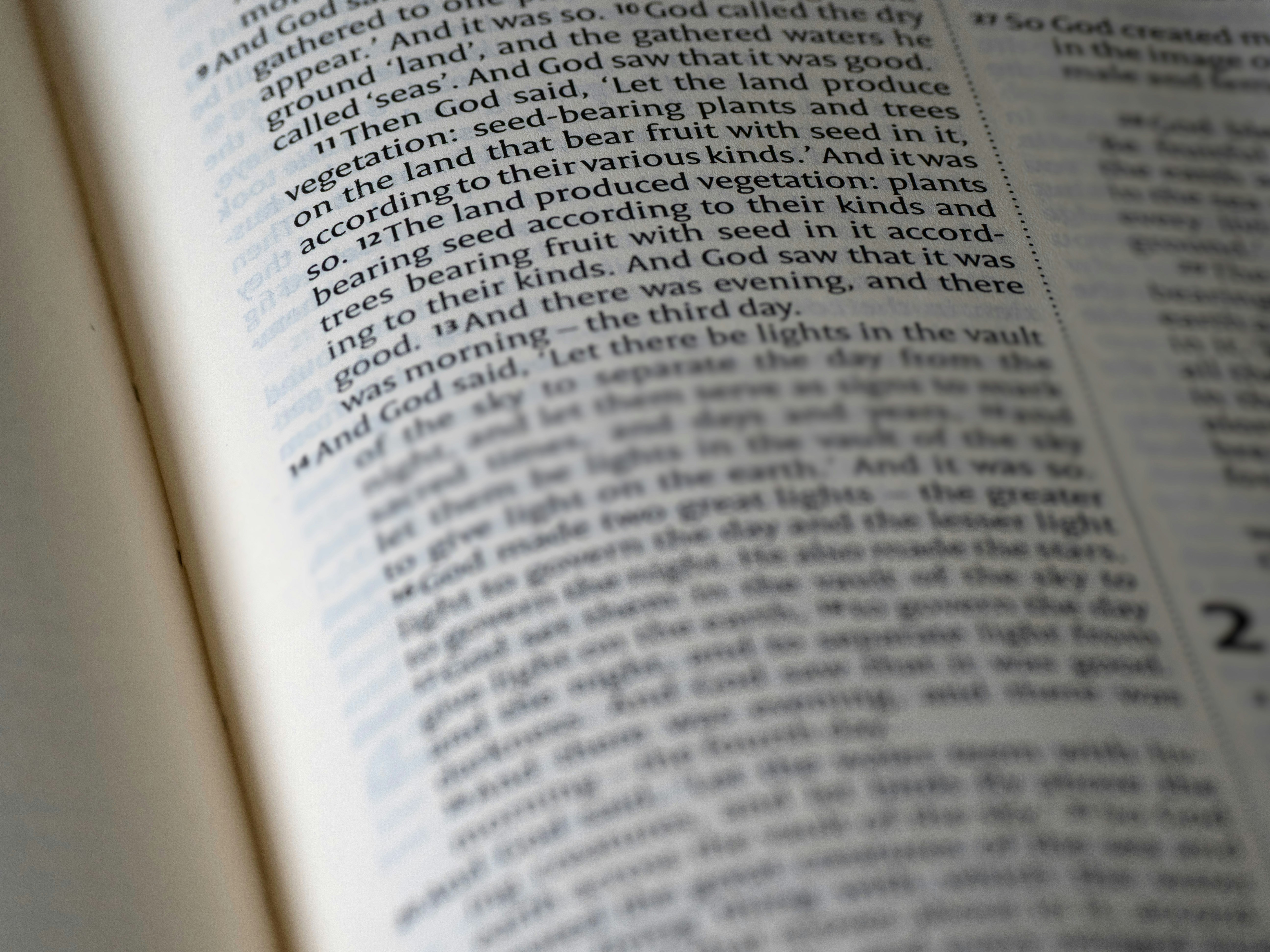 Short-Tail vs. Long-Tail Keywords