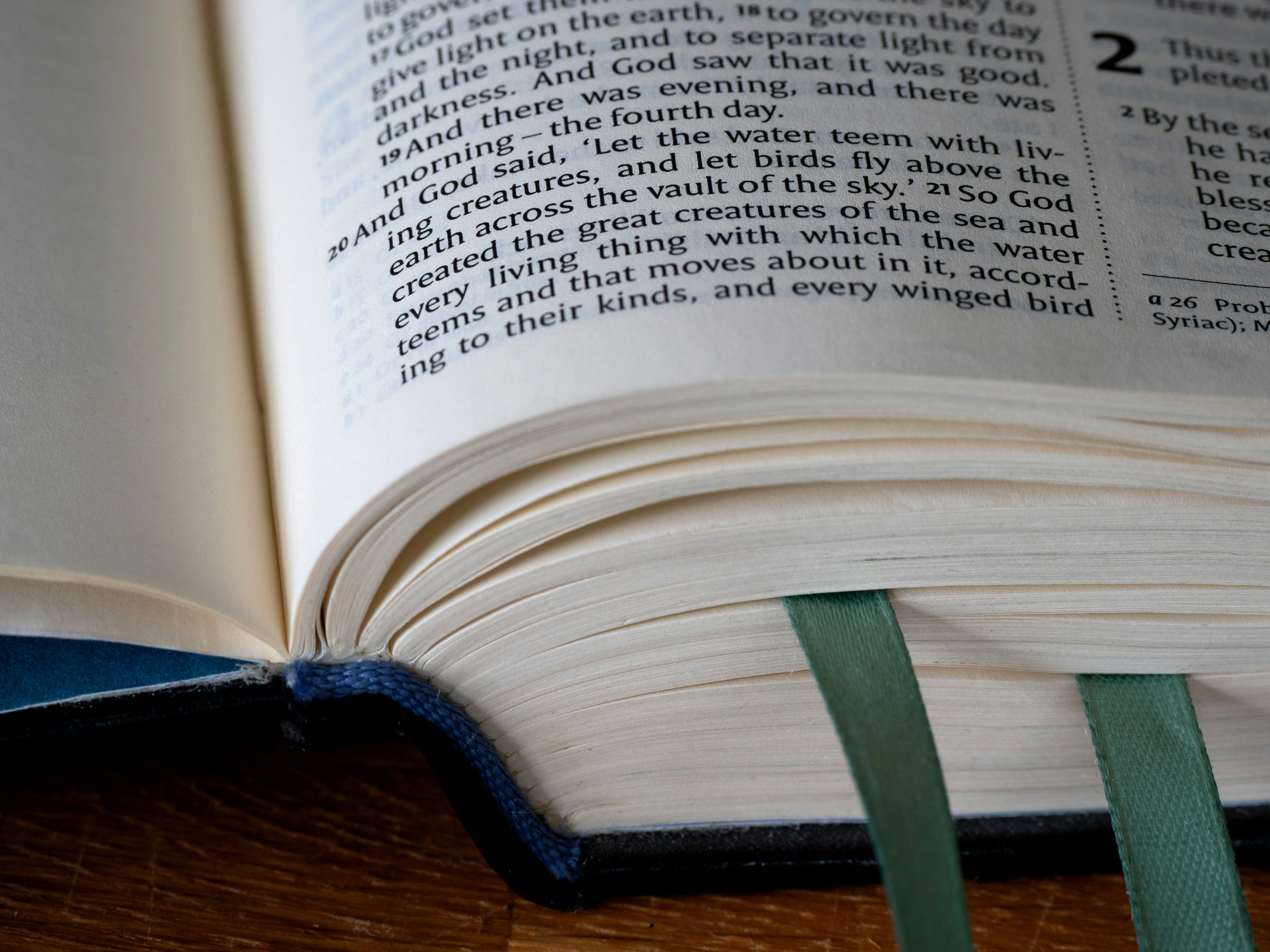 Photo by brett_jordan