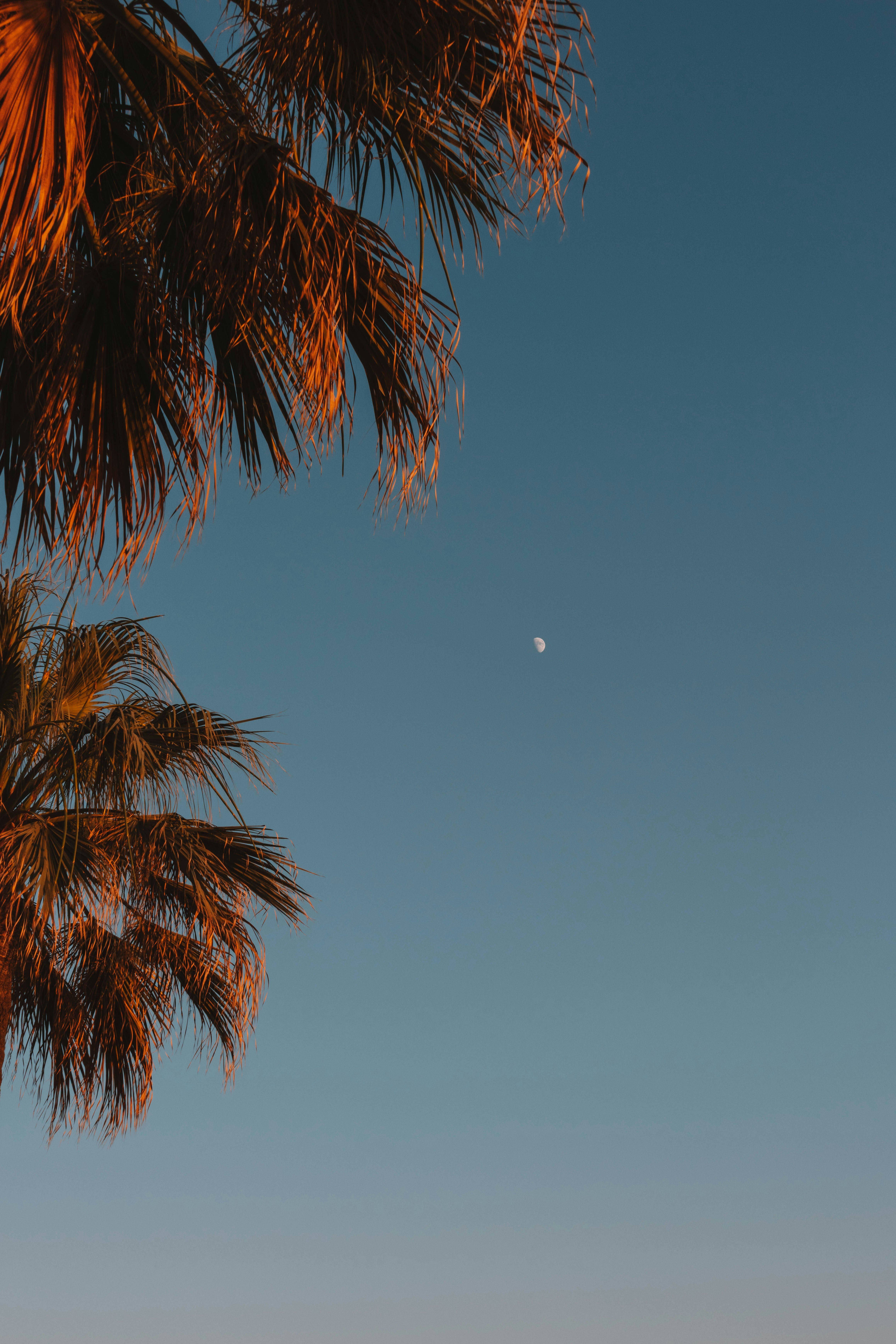 Photo by ingridmartinussen