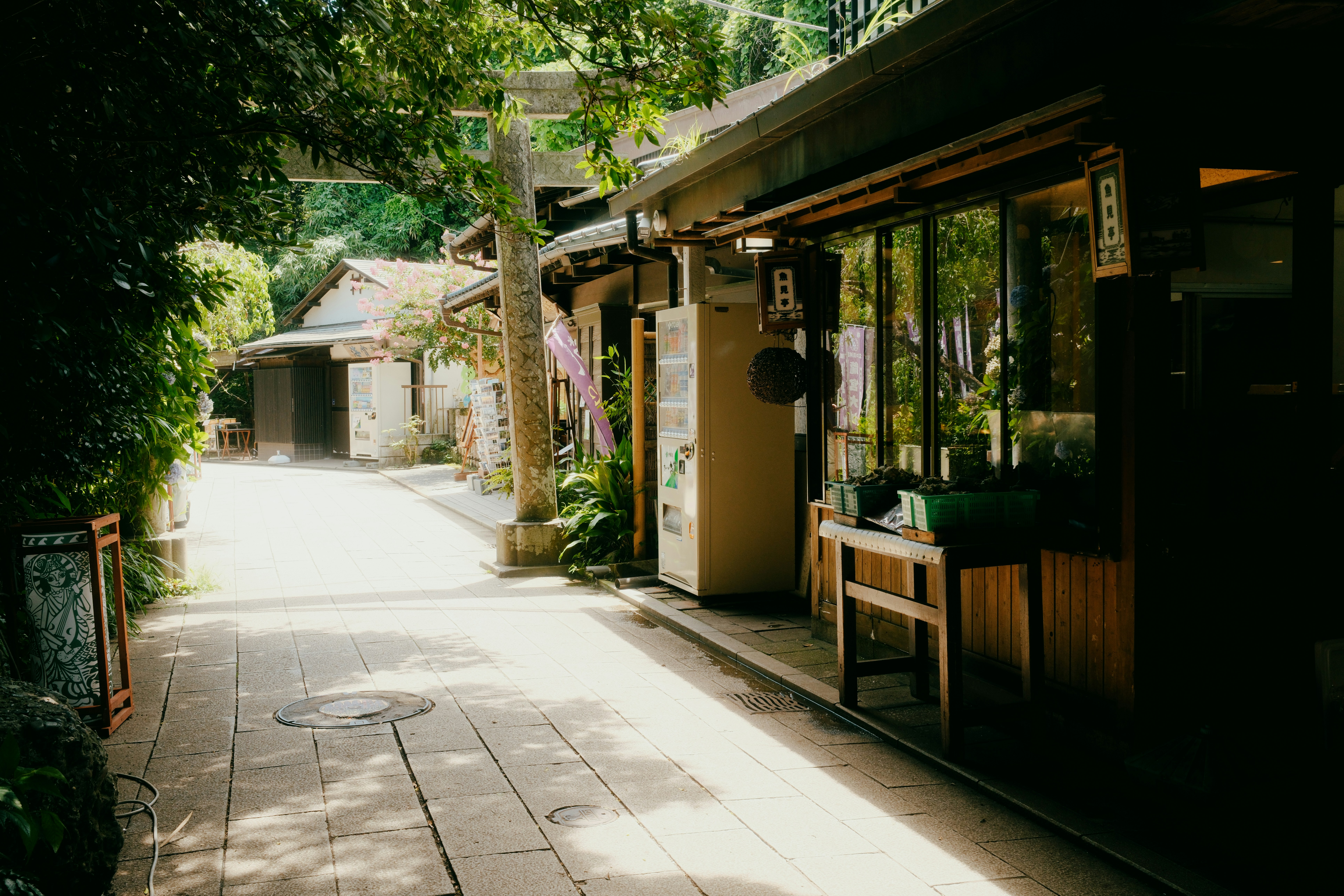 Forest path to hidden cafe in Japan