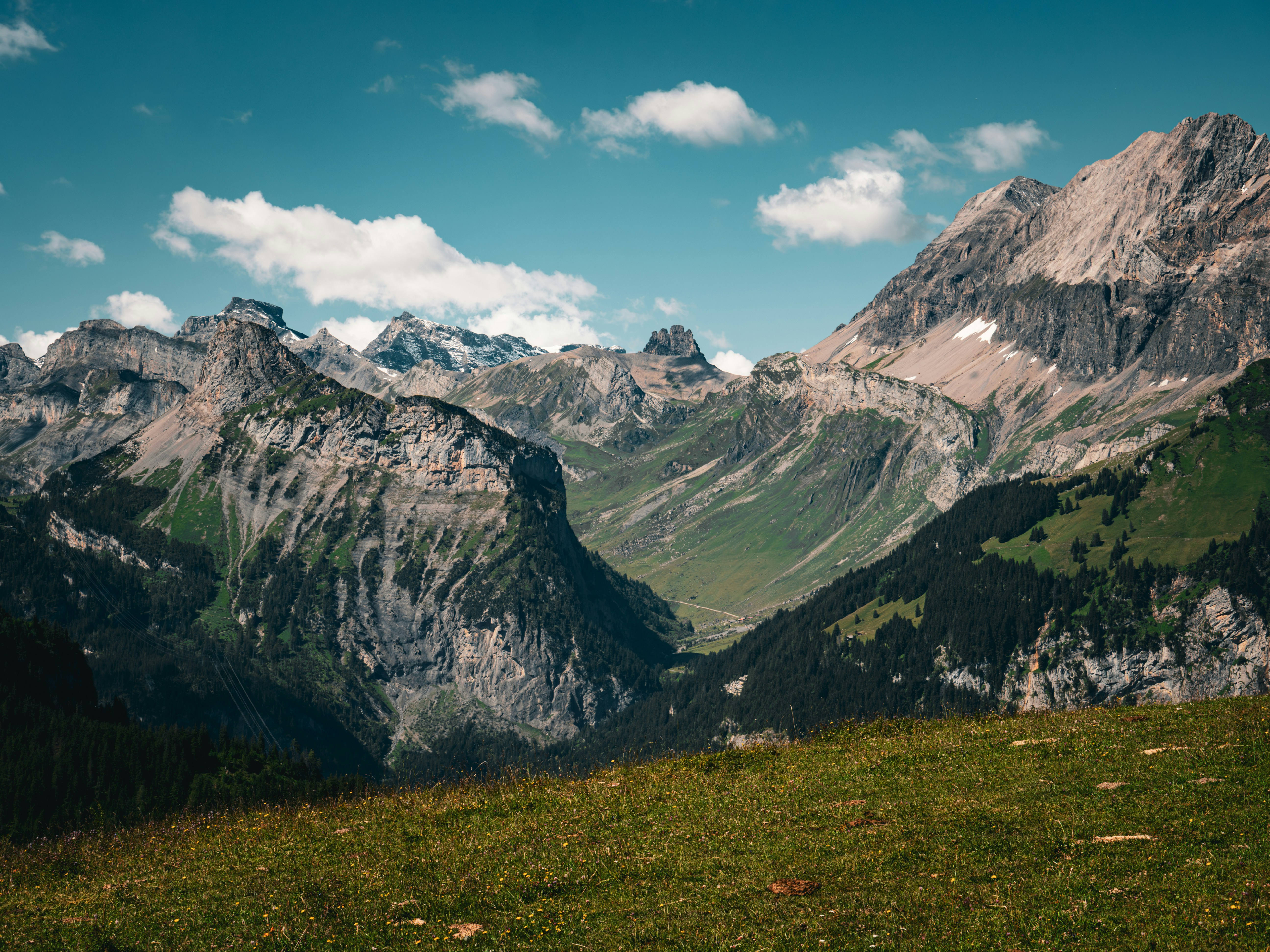 Photo by poli_graphy