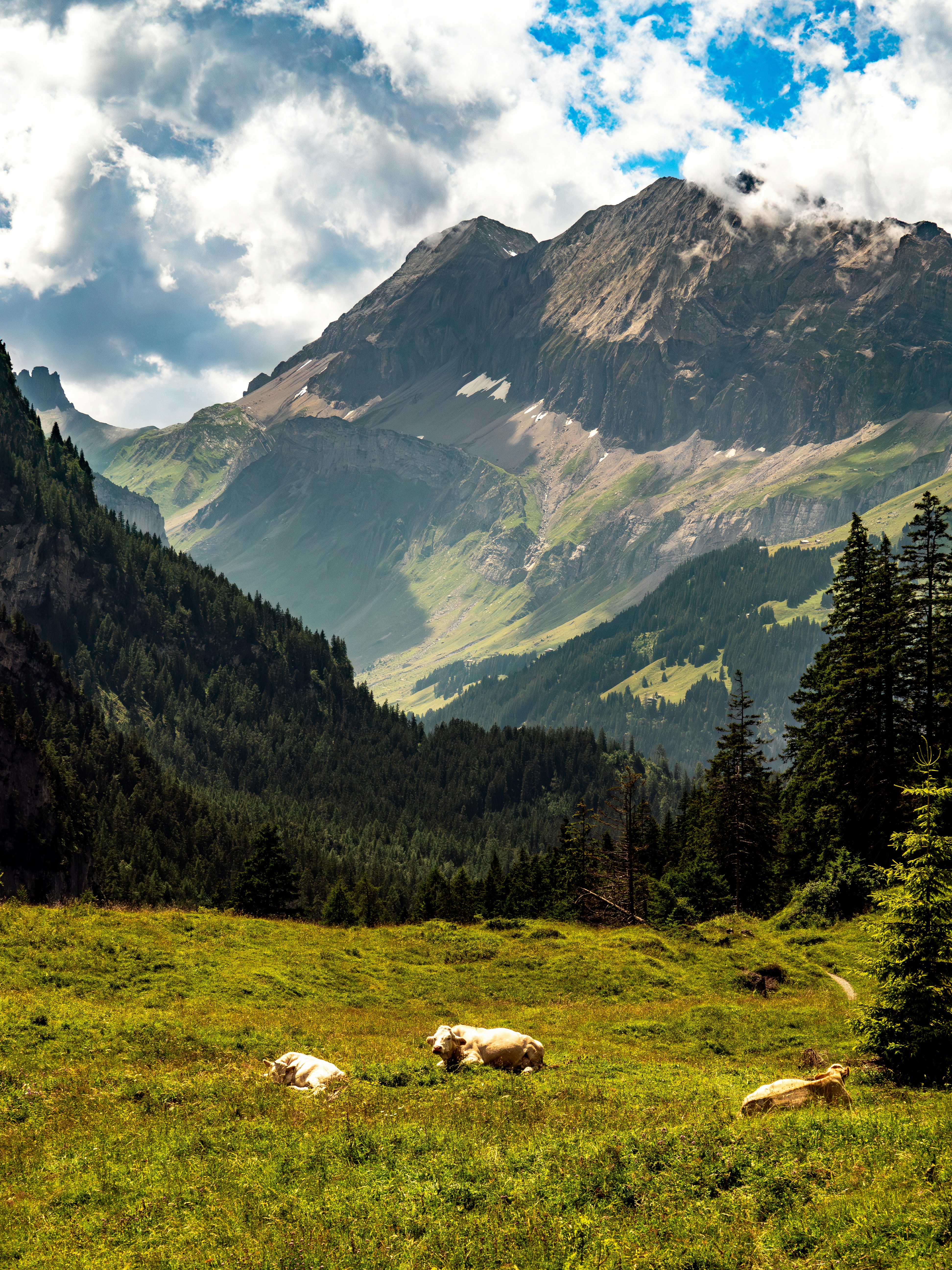 Photo by poli_graphy