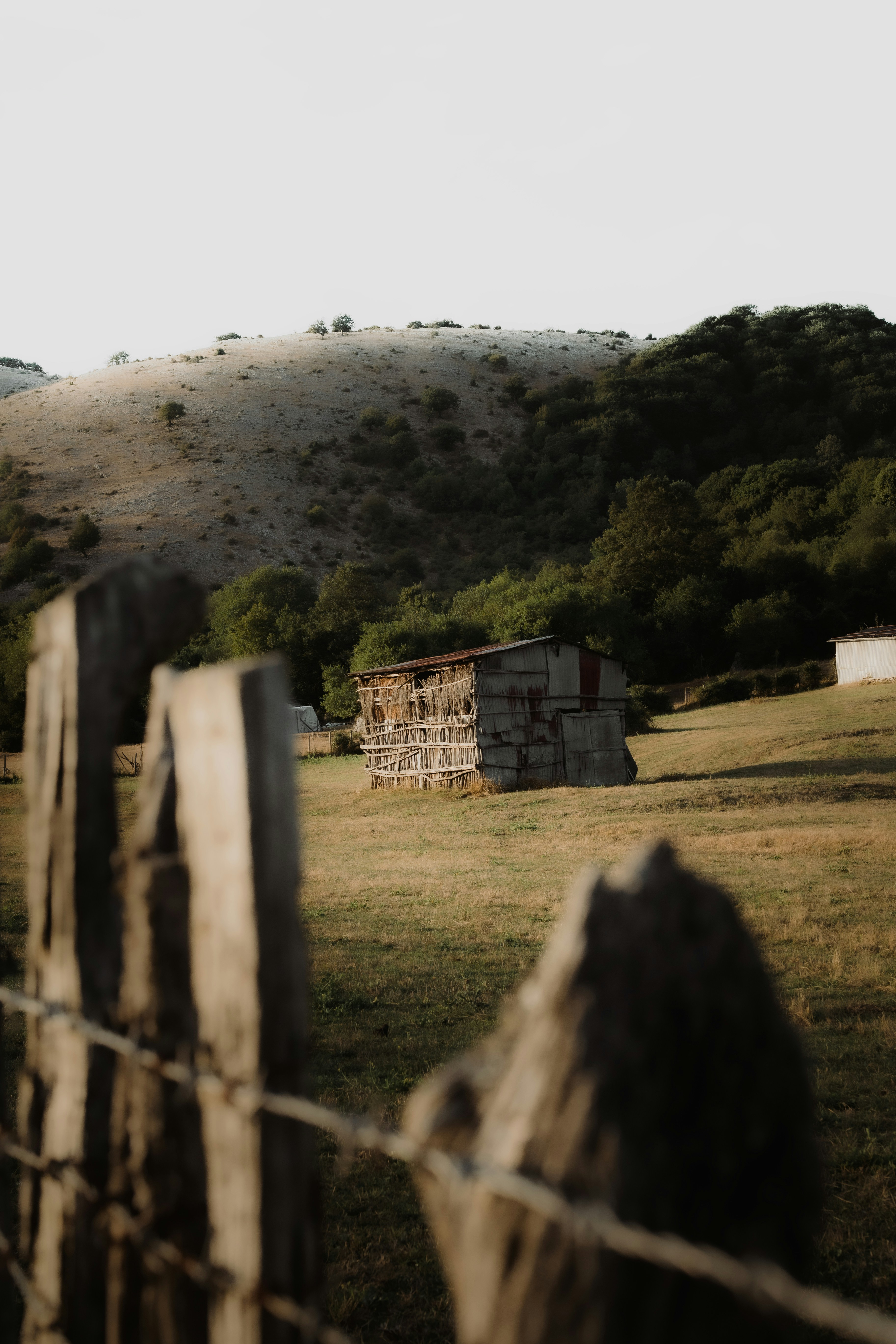 Photo by robertsolcan