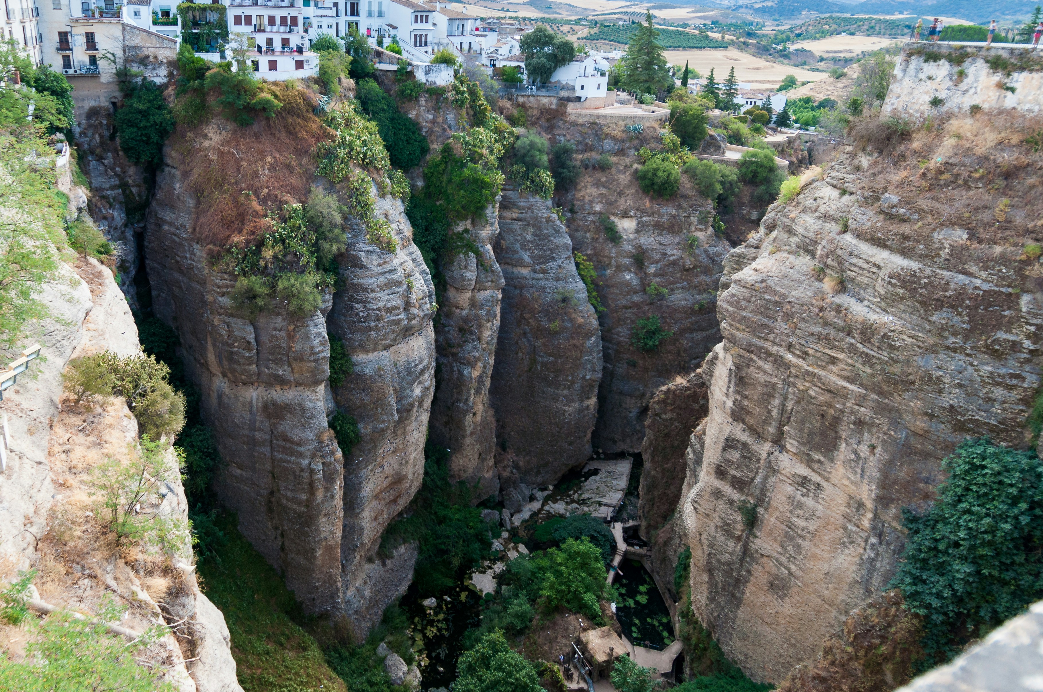 Photo by krzysztof_h