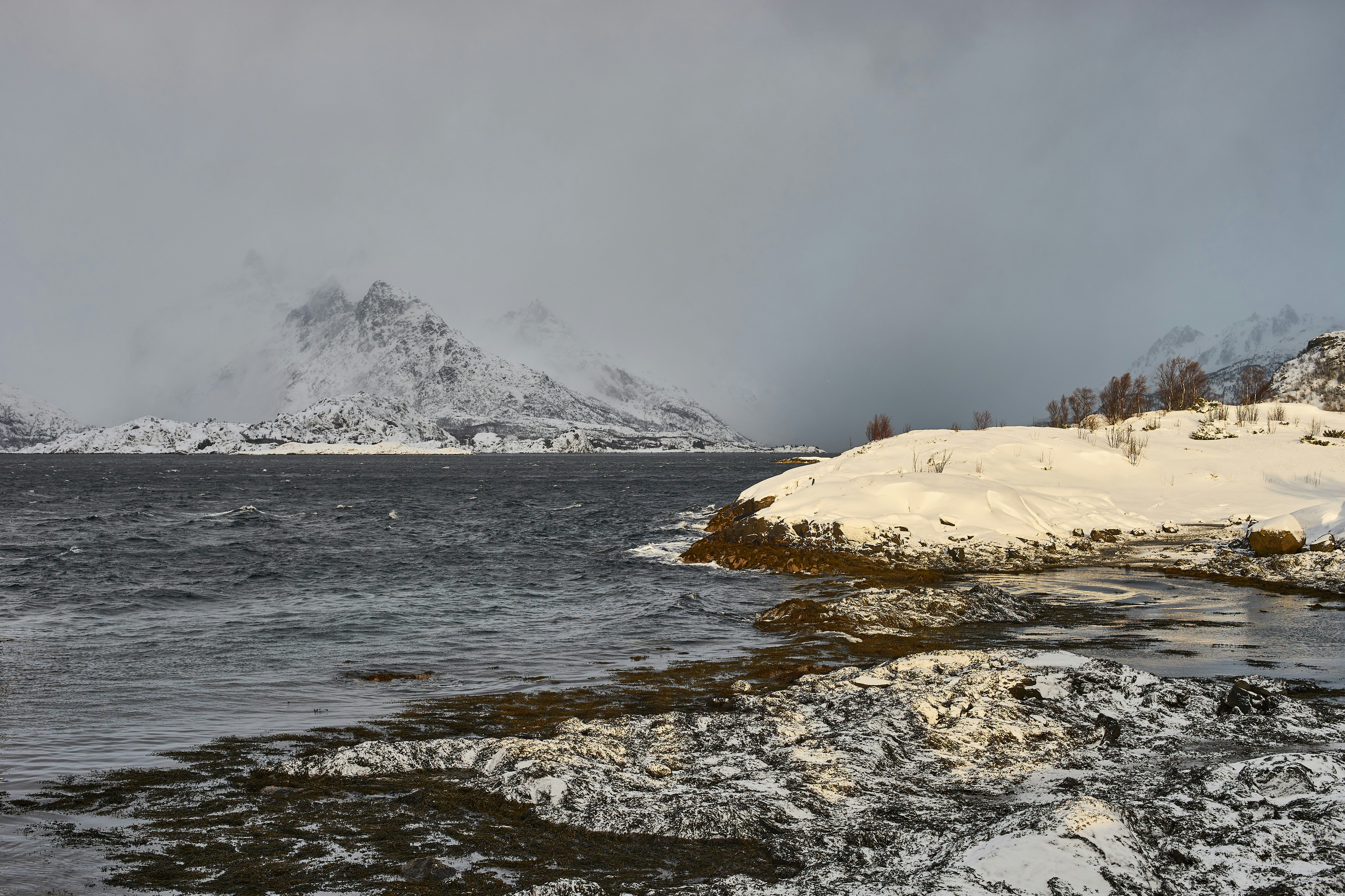 Photo by wolfgang_hasselmann